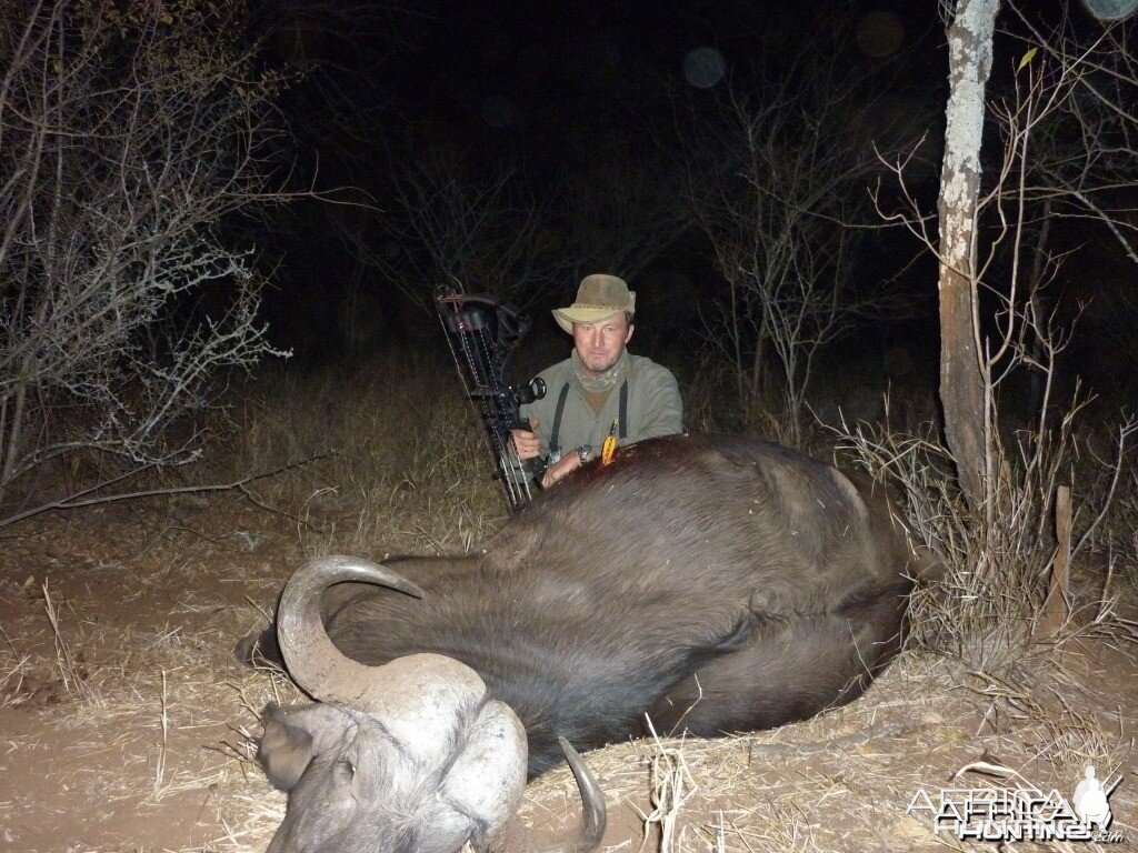 Cape Buffalo bowhunt in Zimbabwe