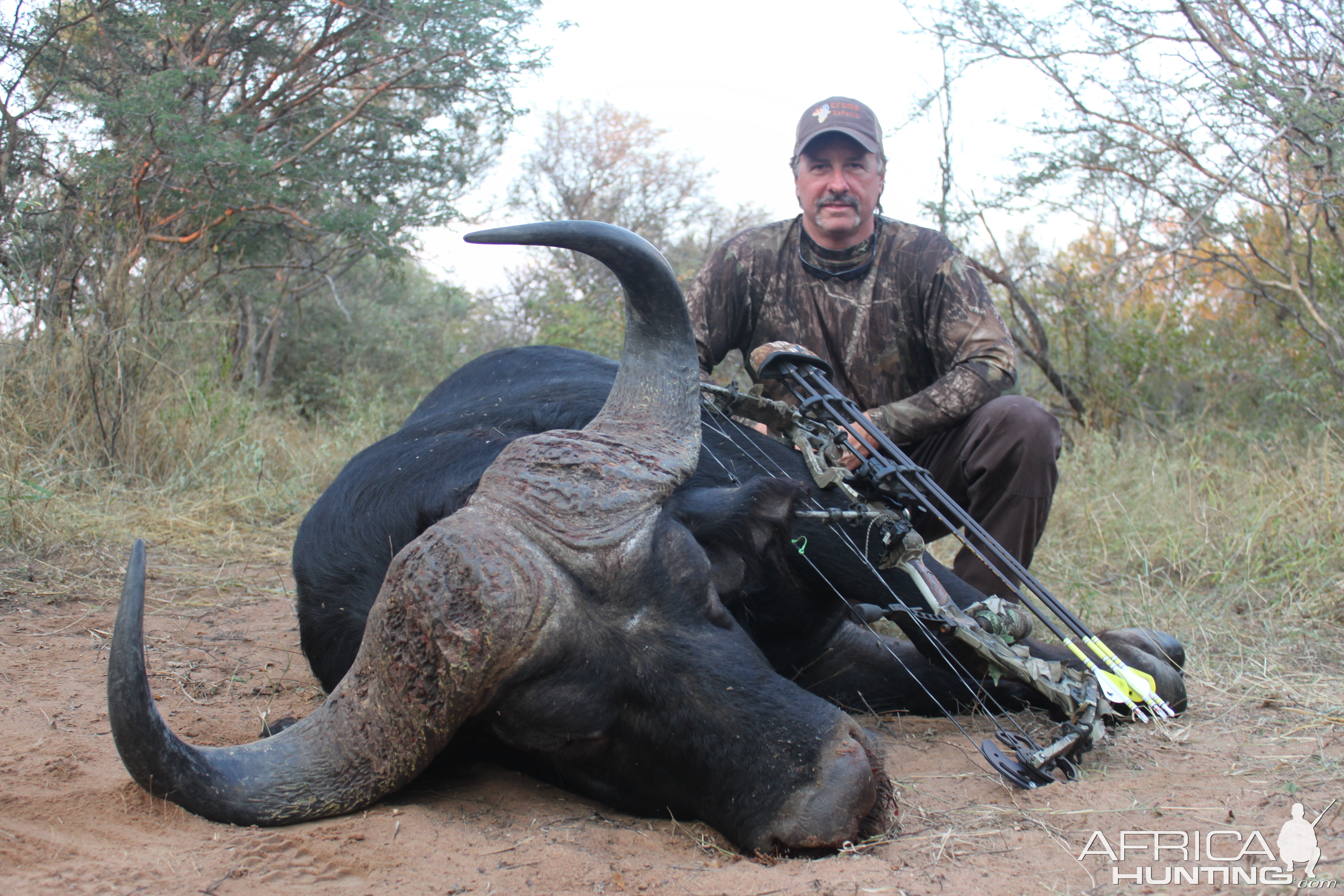 Cape Buffalo Bowhunt South Africa