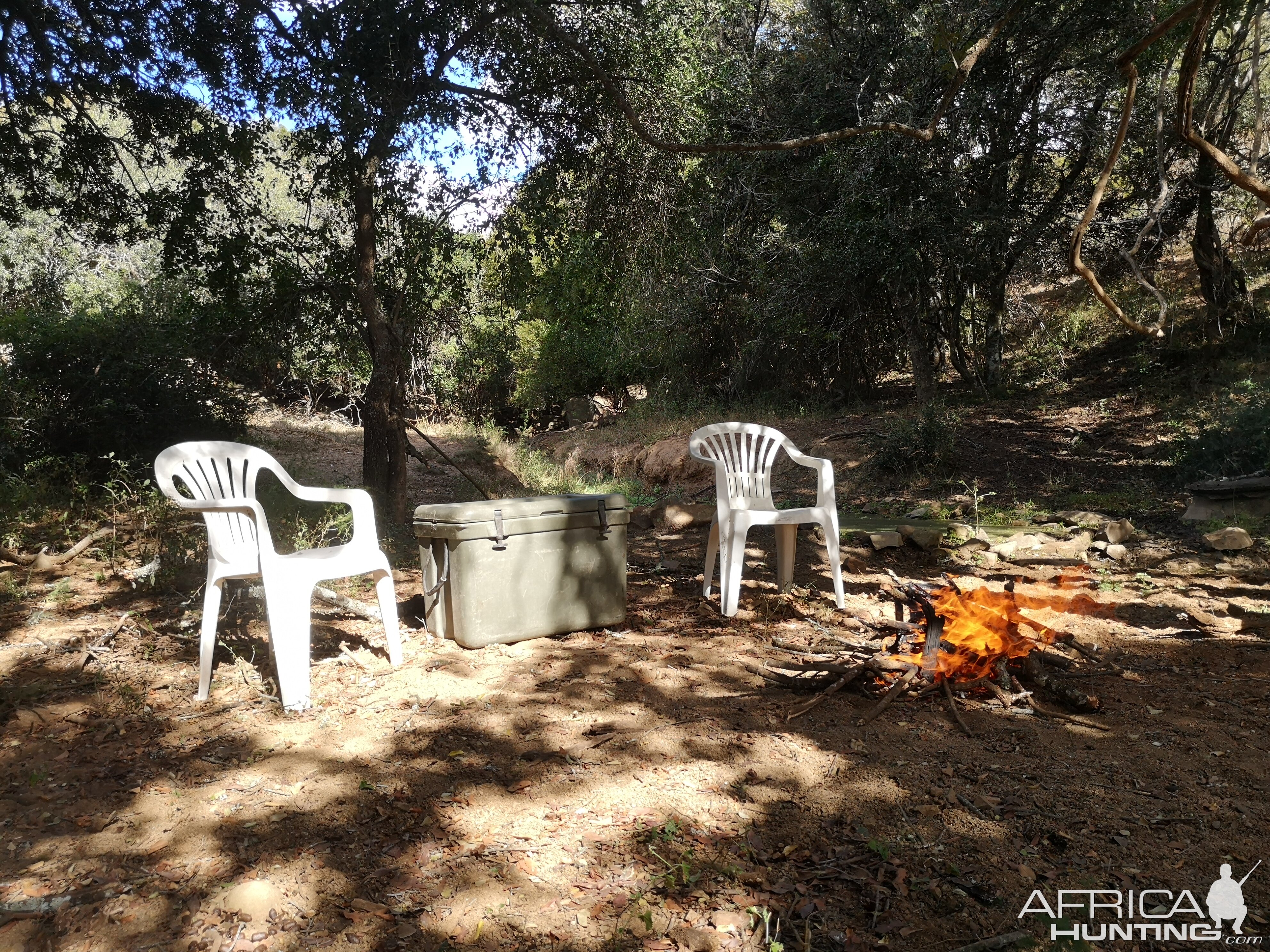 Cape Buffalo Burgers on the natural grill