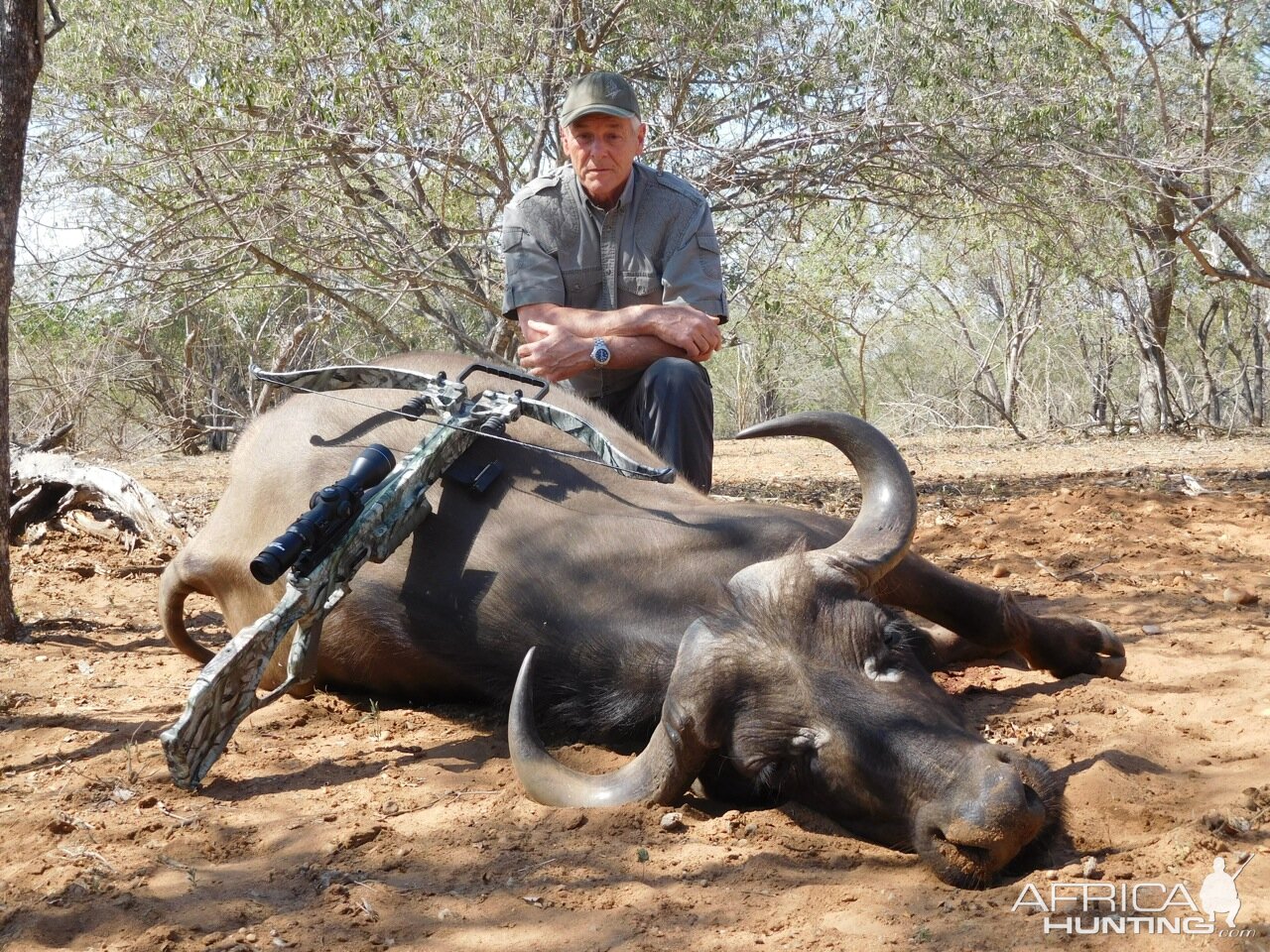 Cape Buffalo Cow Cross Bow Hunt