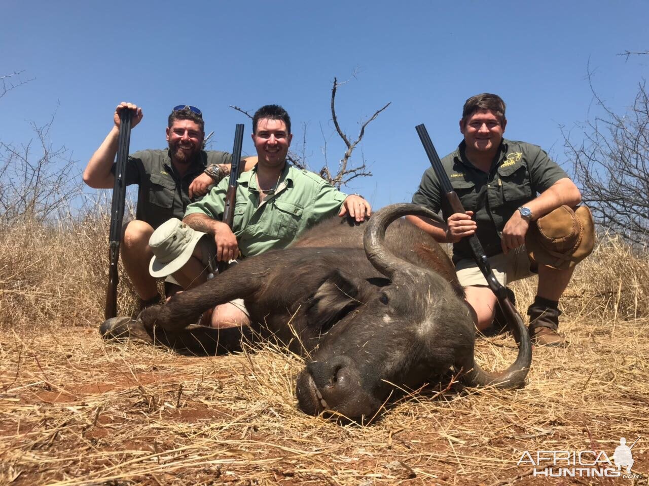 Cape Buffalo Cow Hunt South AFrica