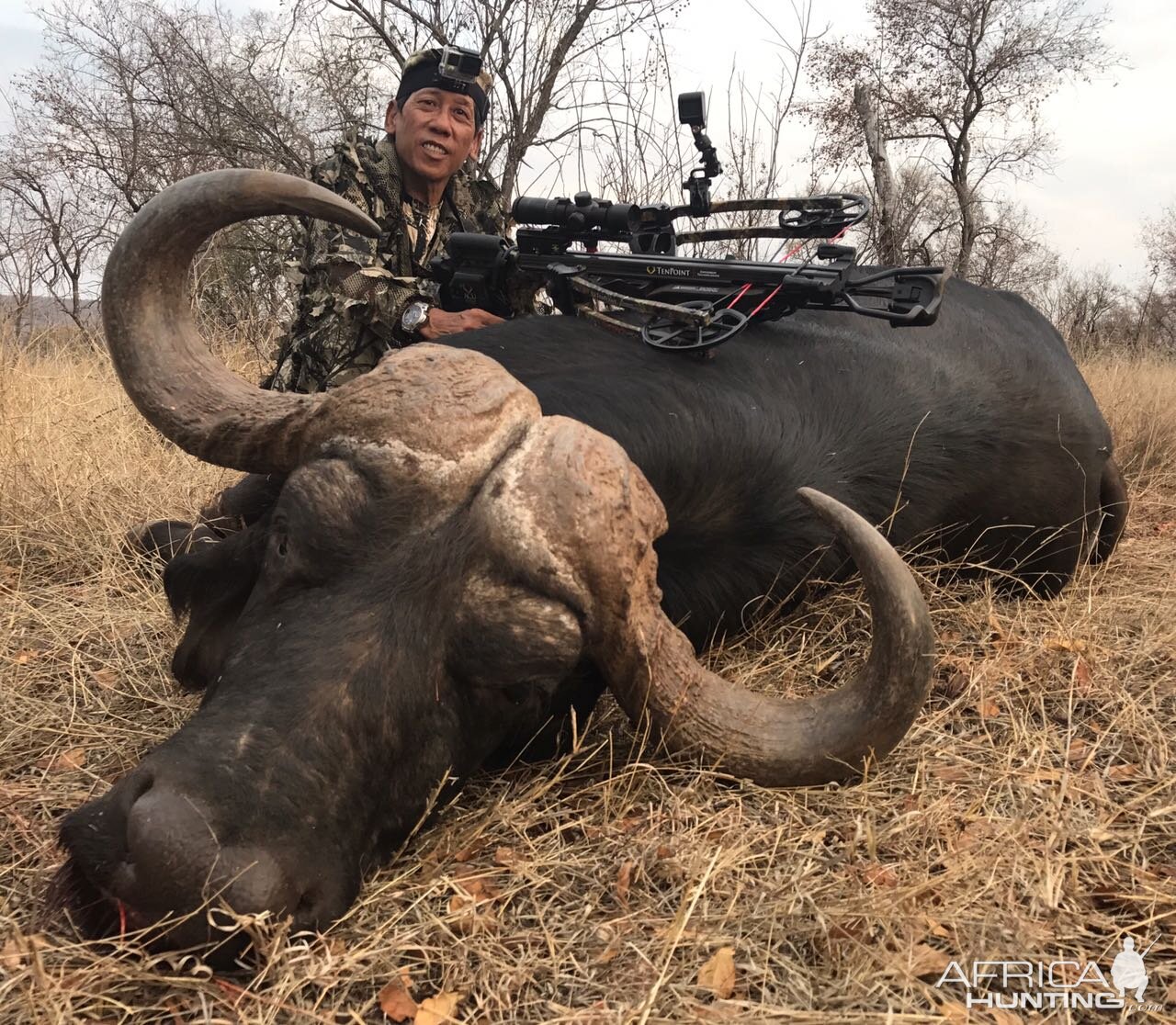 Cape Buffalo Crossbow Hunt in South Africa