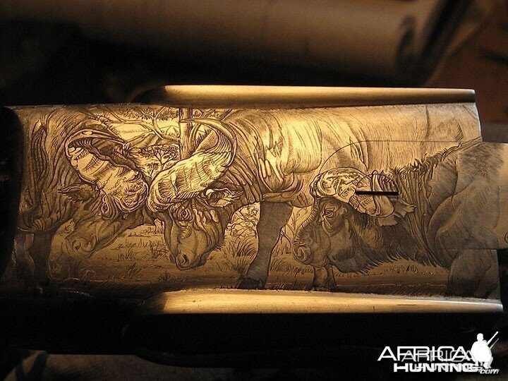 Cape Buffalo Engraving on Double Rifle