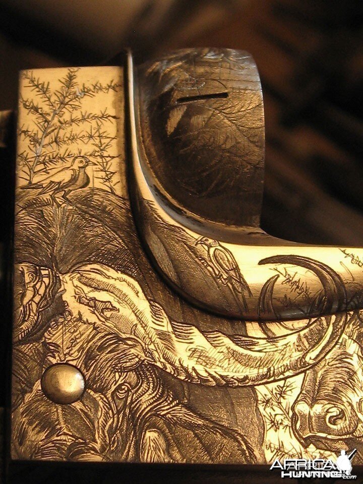 Cape Buffalo Engraving on Double Rifle