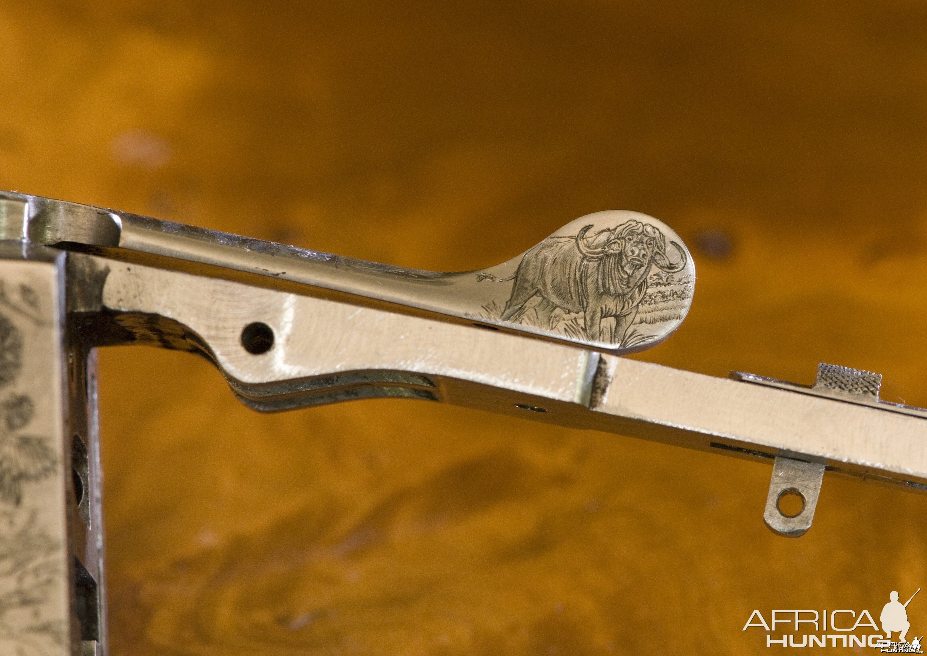 Cape Buffalo Engraving on Double Rifle