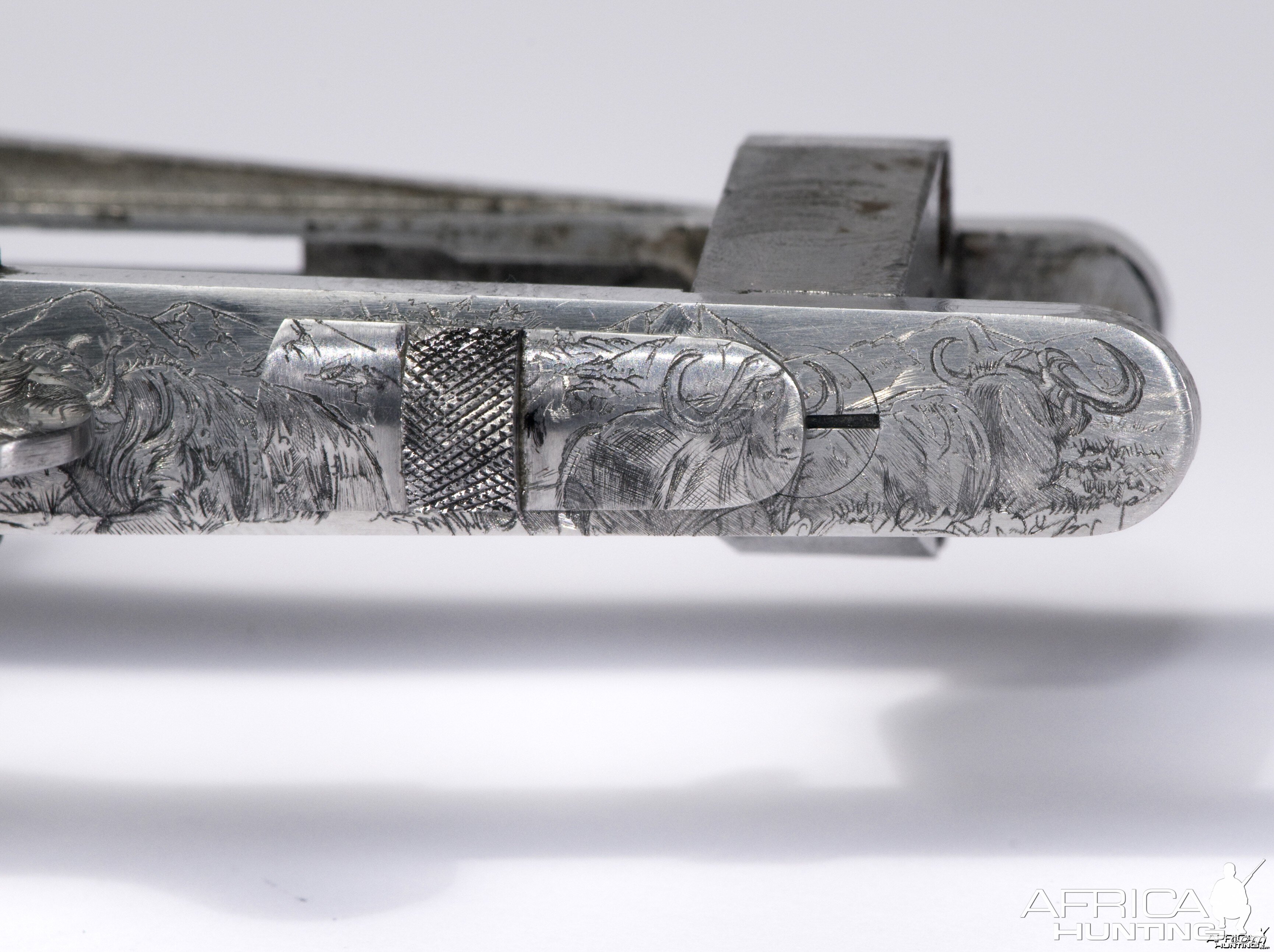 Cape Buffalo Engraving on Double Rifle