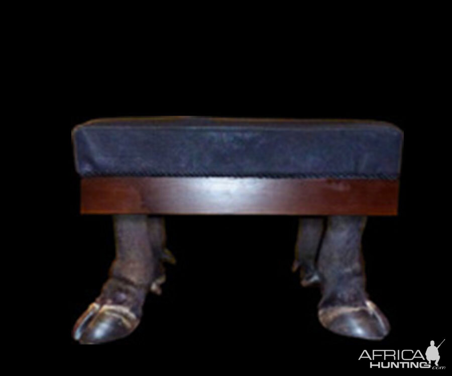 Cape Buffalo Foot Stool