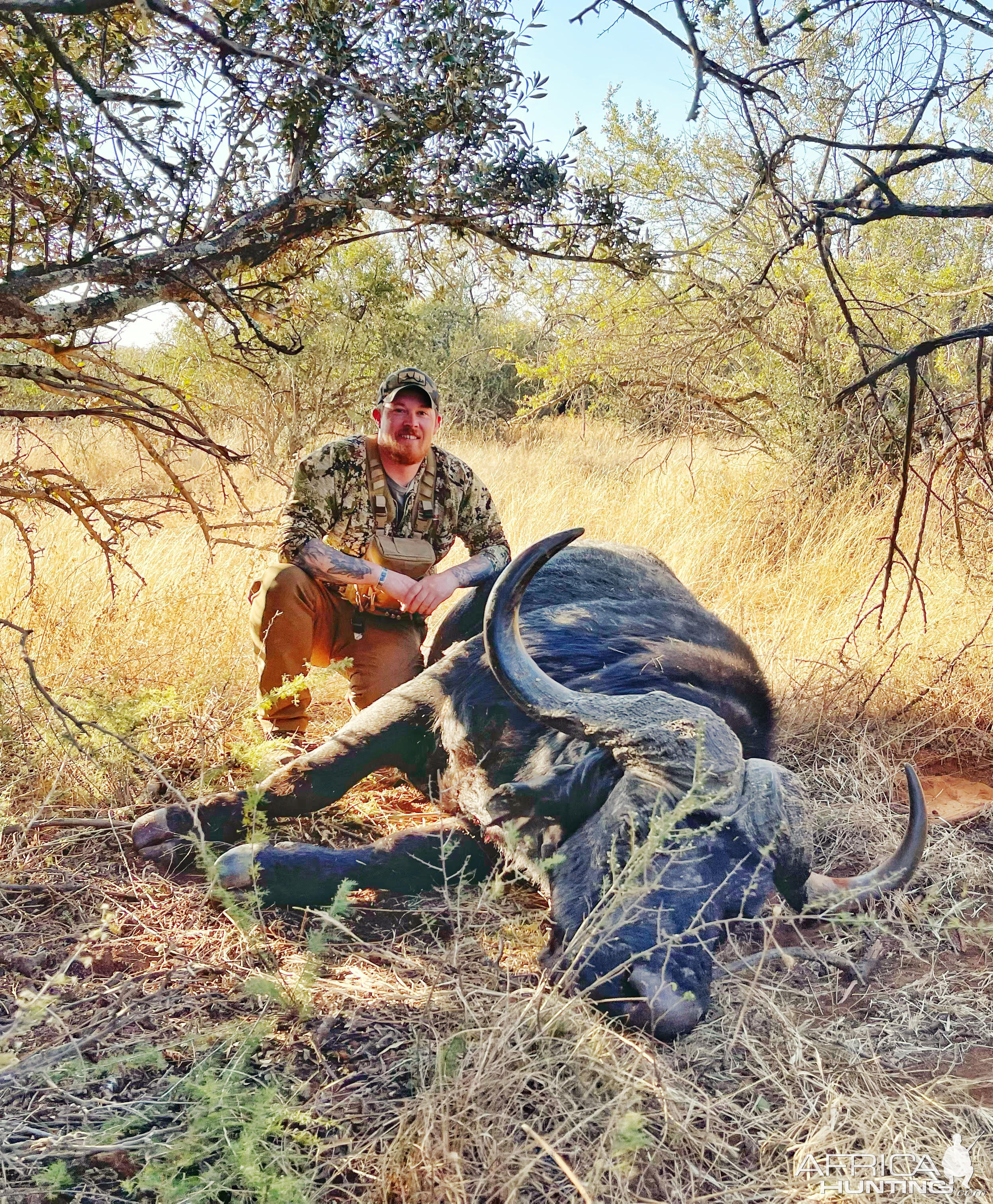 Cape Buffalo Hunt Free State South Africa