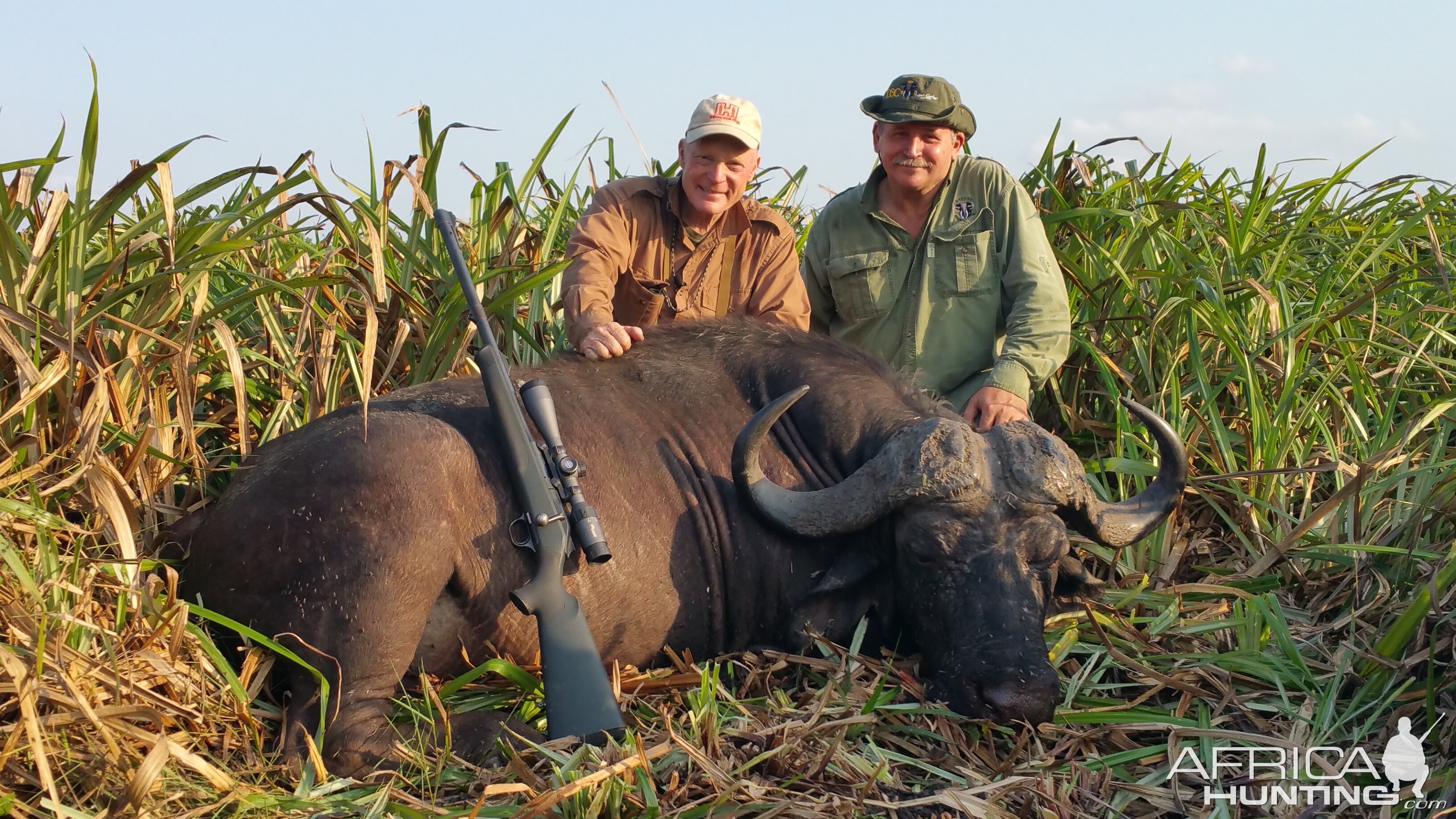 Cape Buffalo Hunt in Mozambique