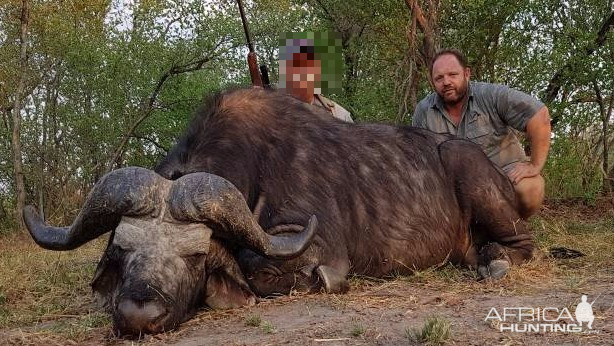 Cape Buffalo Hunt in Namibia