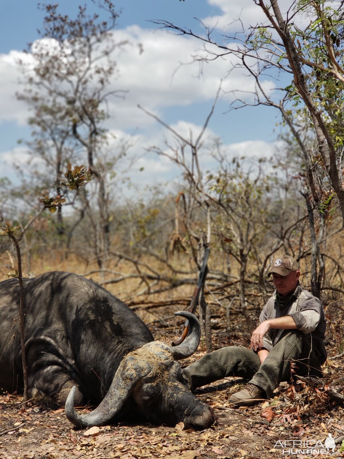 Cape Buffalo Hunt in Tanzania