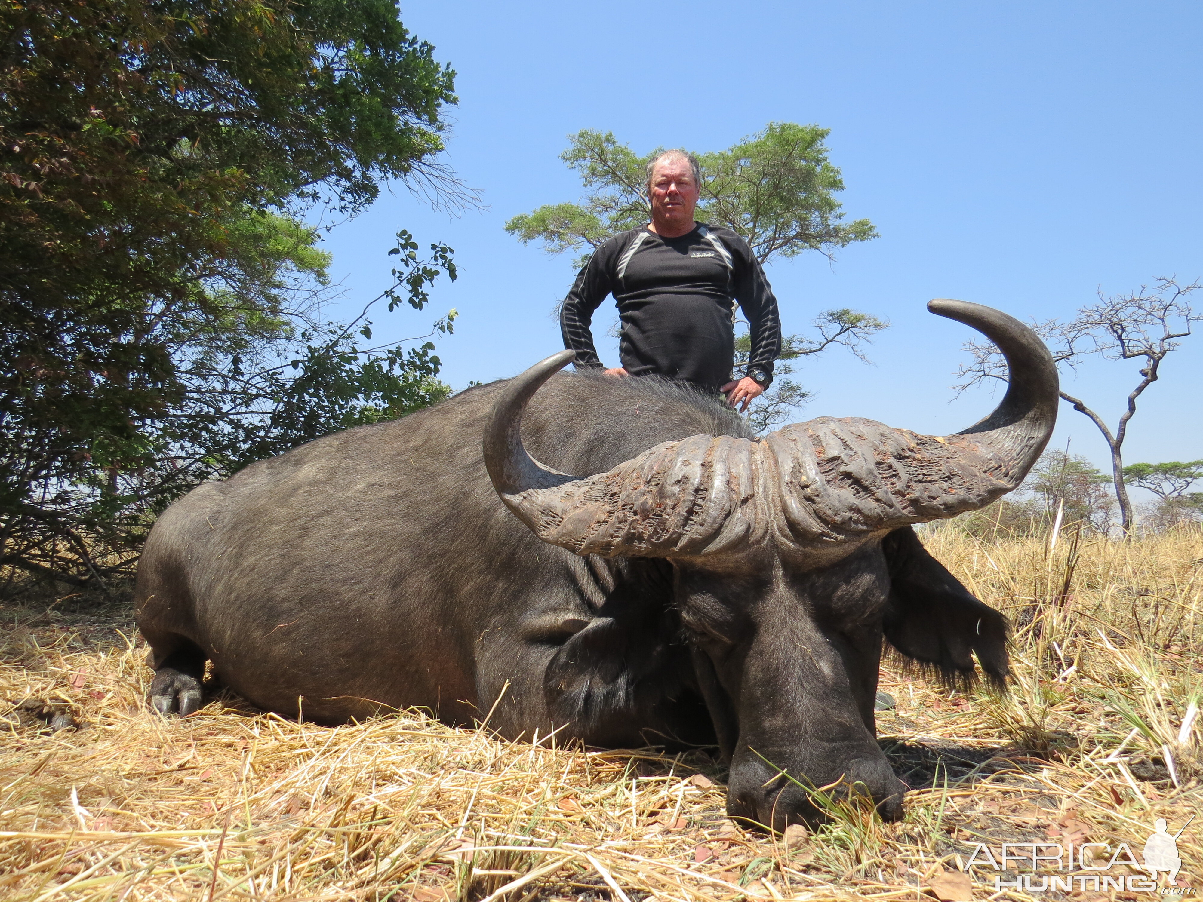 Cape Buffalo Hunt in Zambia