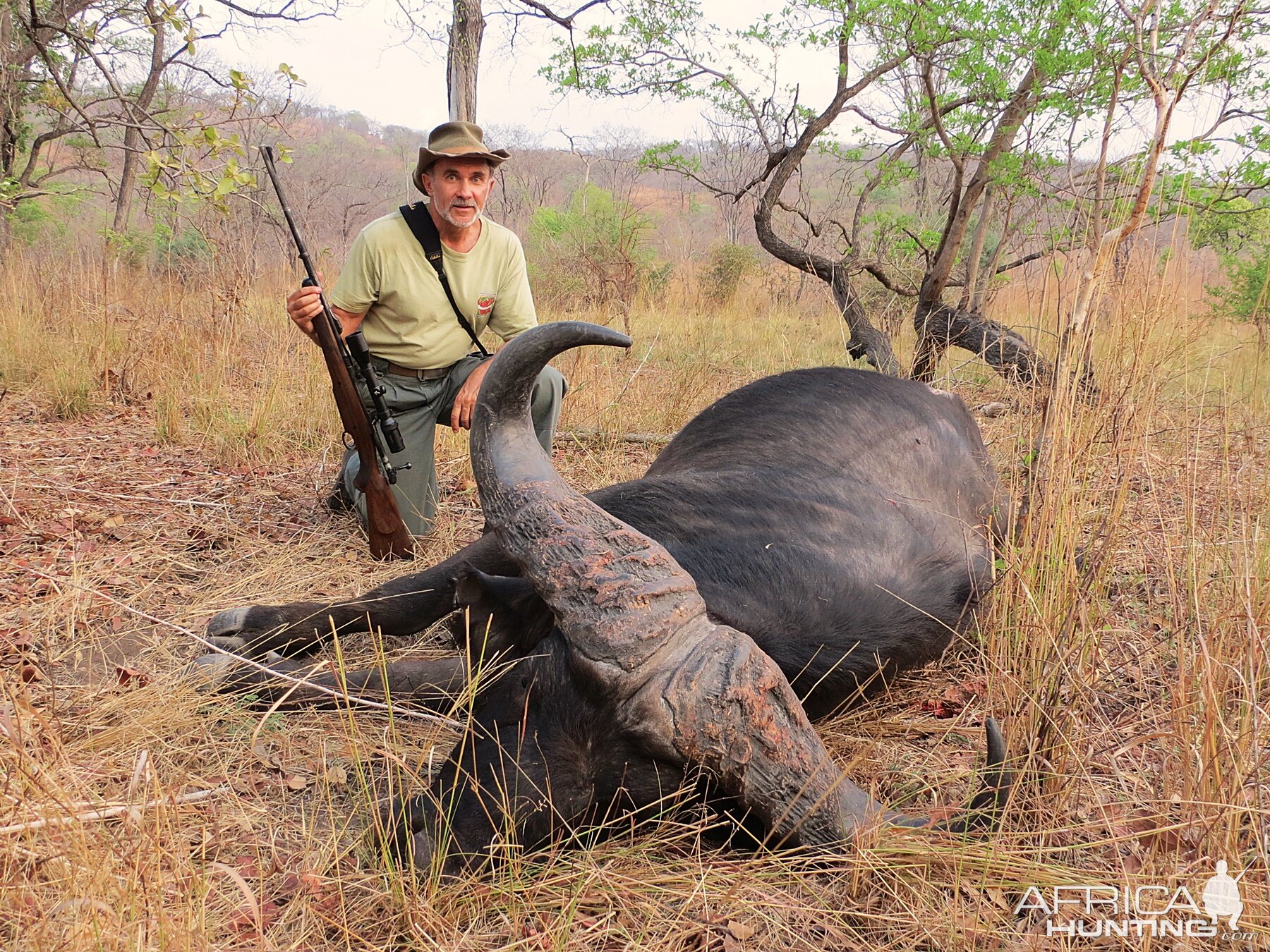 Cape Buffalo Hunt in Zambia