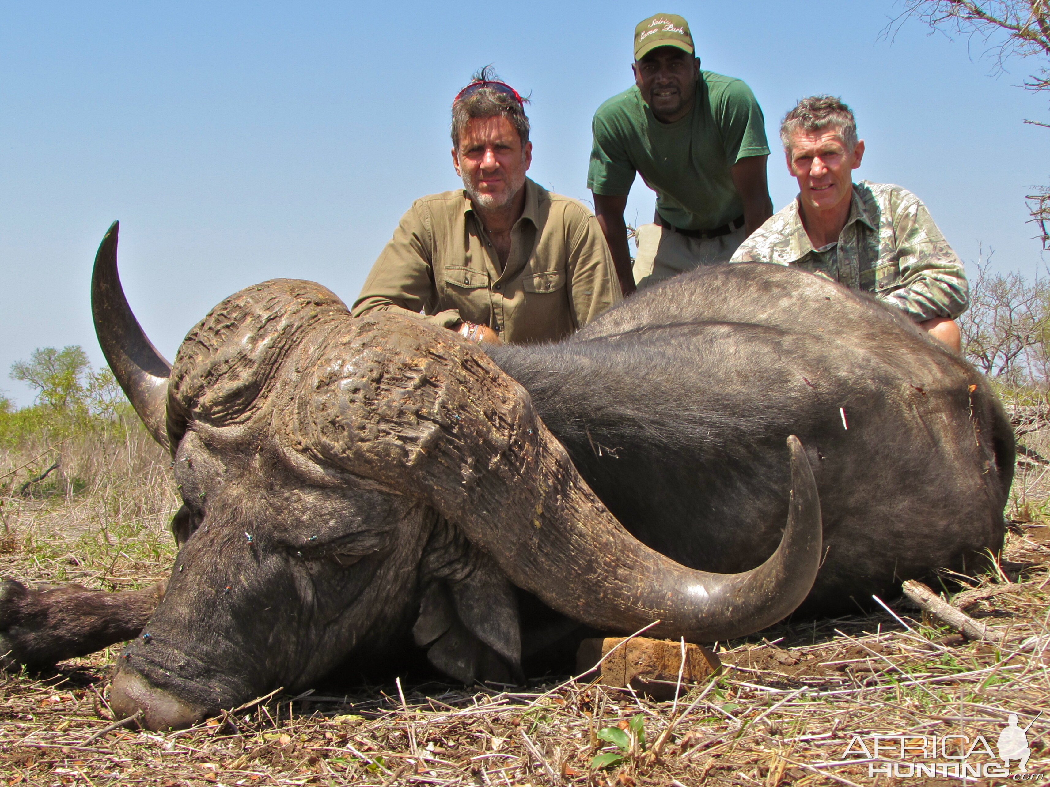 Cape Buffalo Hunt Lebombo Mozambique