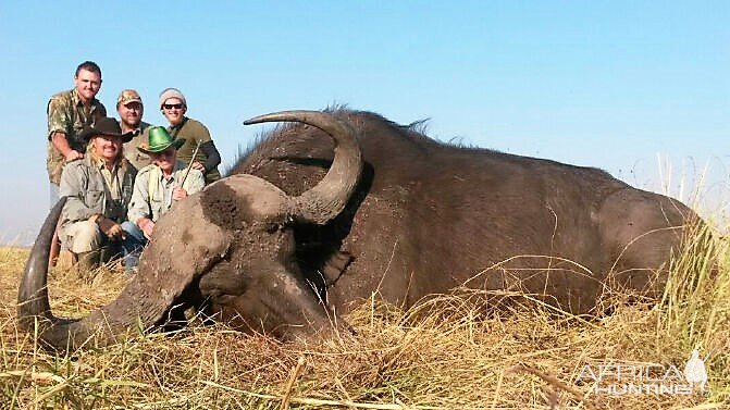 Cape Buffalo Hunt Namibia