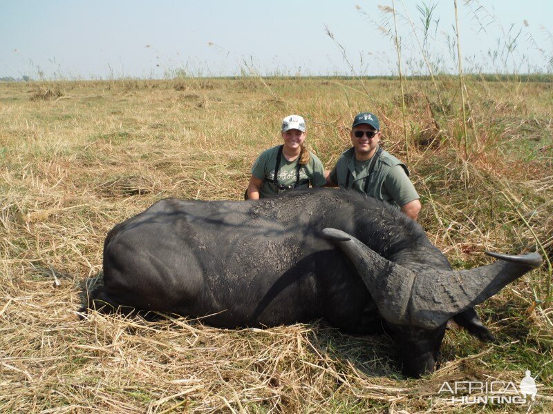 Cape Buffalo Hunt Namibia