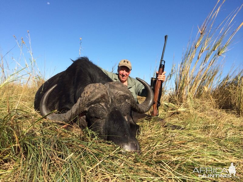 Cape Buffalo Hunt Namibia