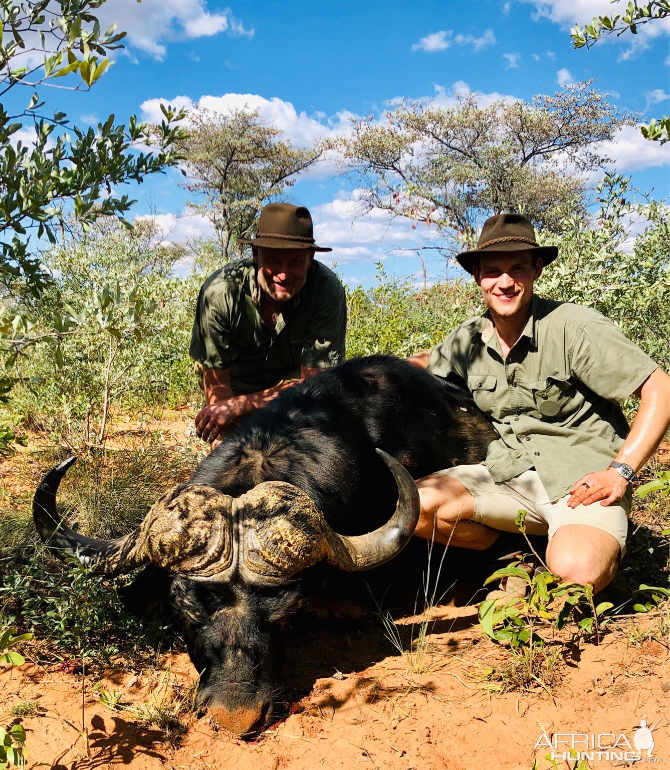 Cape Buffalo Hunt Namibia