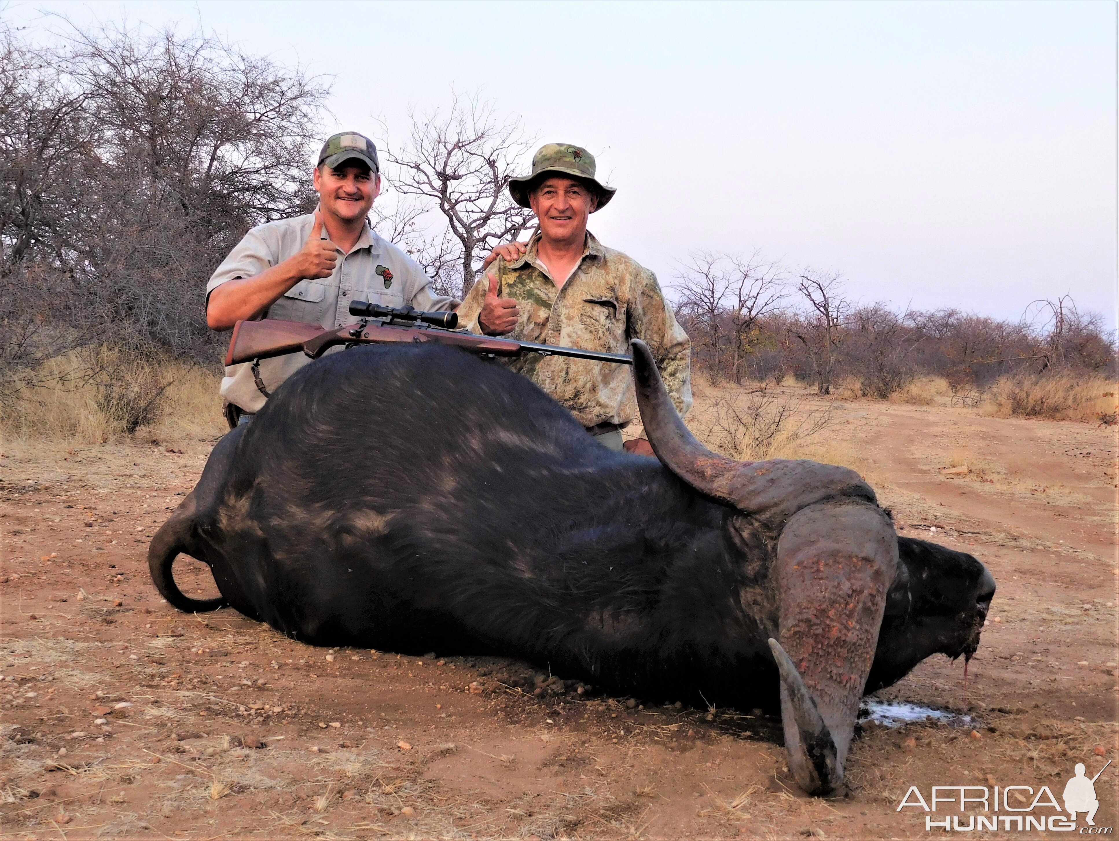 Cape Buffalo Hunt North West Province South-Africa