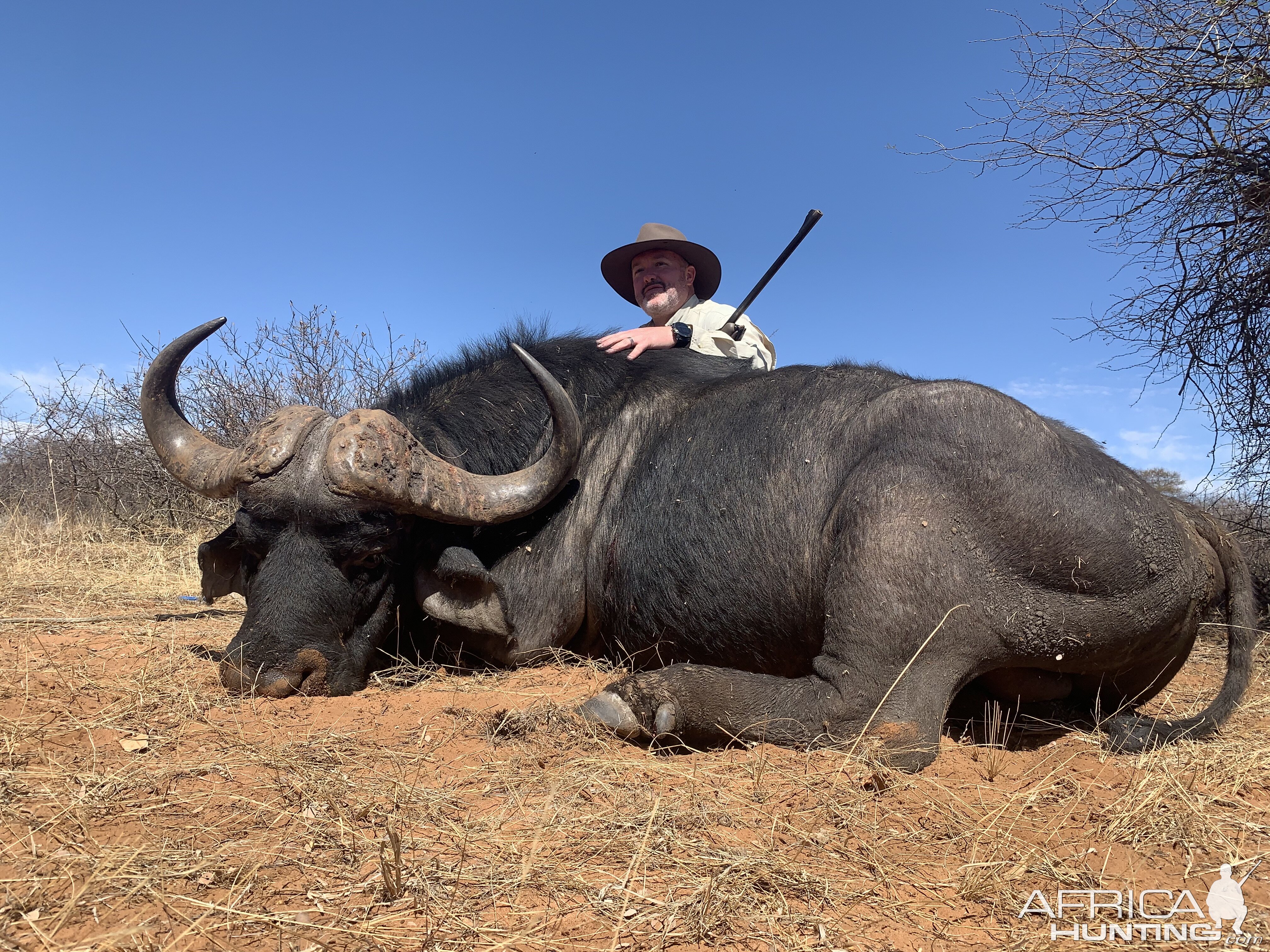 Cape Buffalo Hunt South Africa