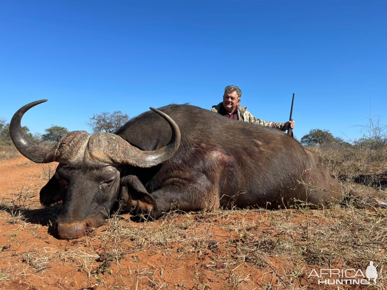 Cape Buffalo Hunt South Africa