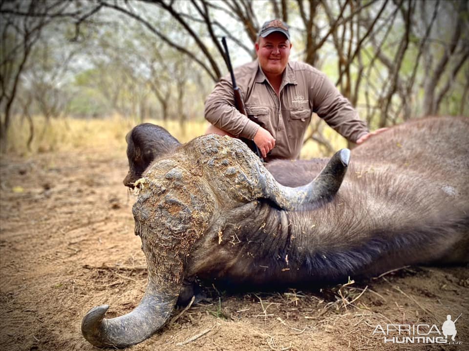 Cape Buffalo Hunt South Africa