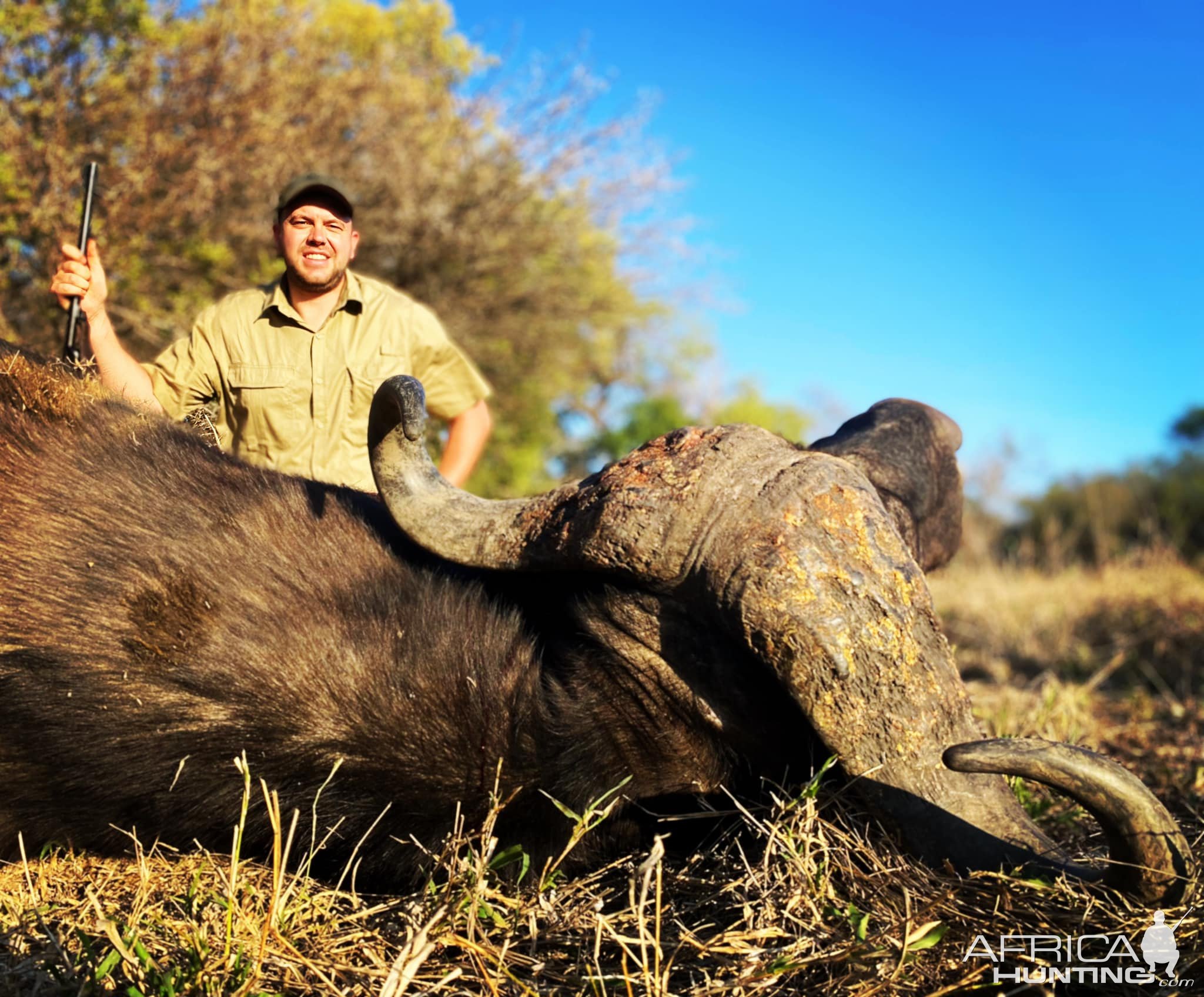 Cape Buffalo Hunt South Africa