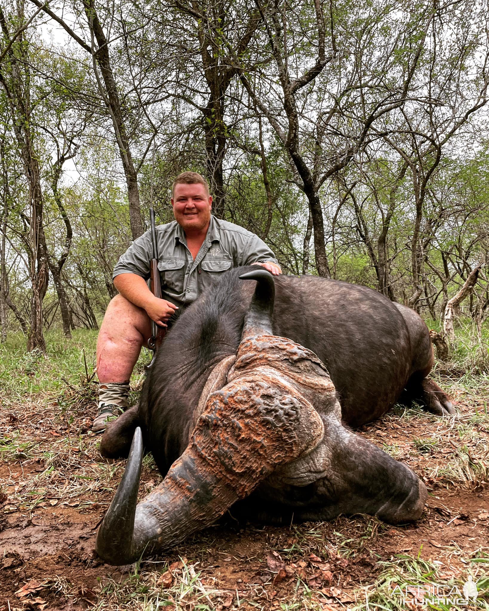 Cape Buffalo Hunt South Africa