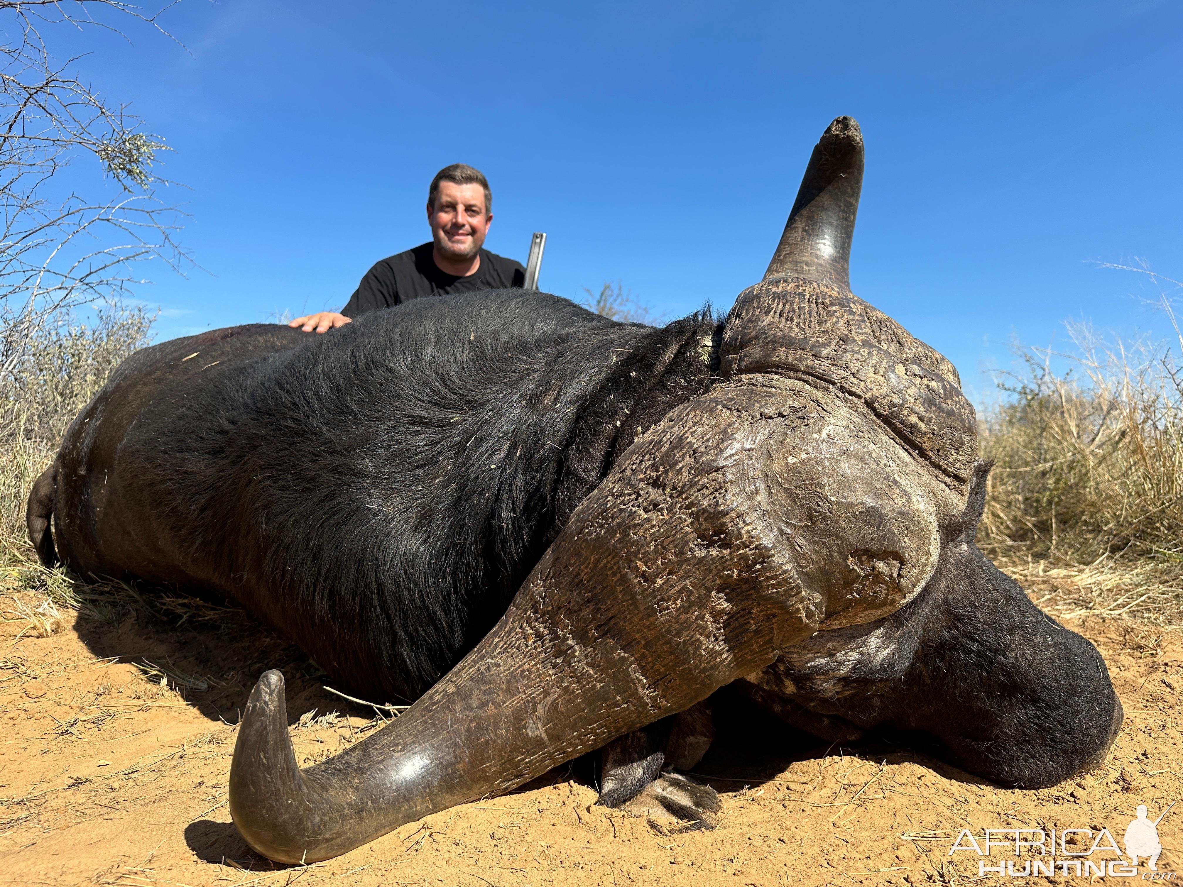 Cape Buffalo Hunt South Africa