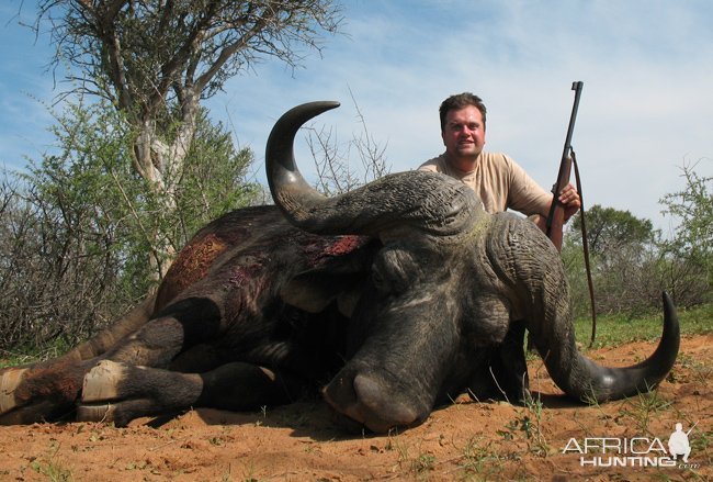 Cape Buffalo Hunt South Africa