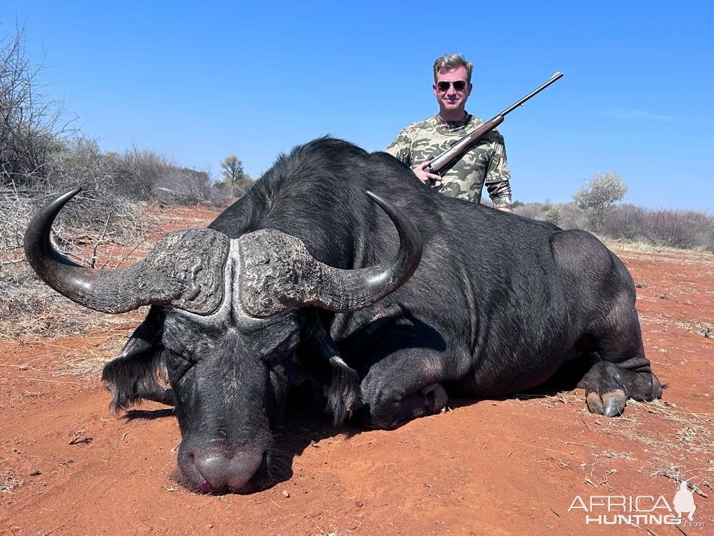 Cape Buffalo Hunt South Africa