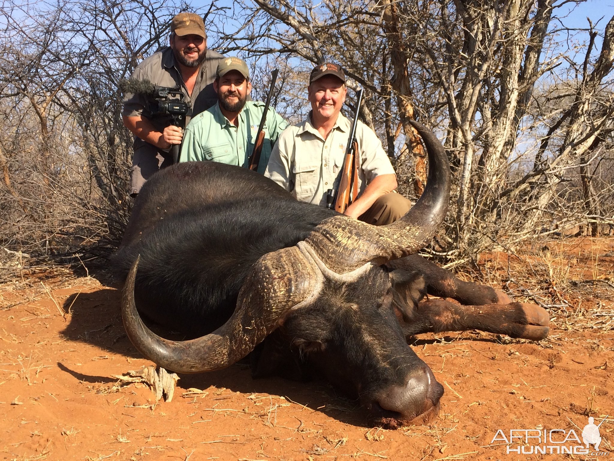 Cape Buffalo Hunt South Africa