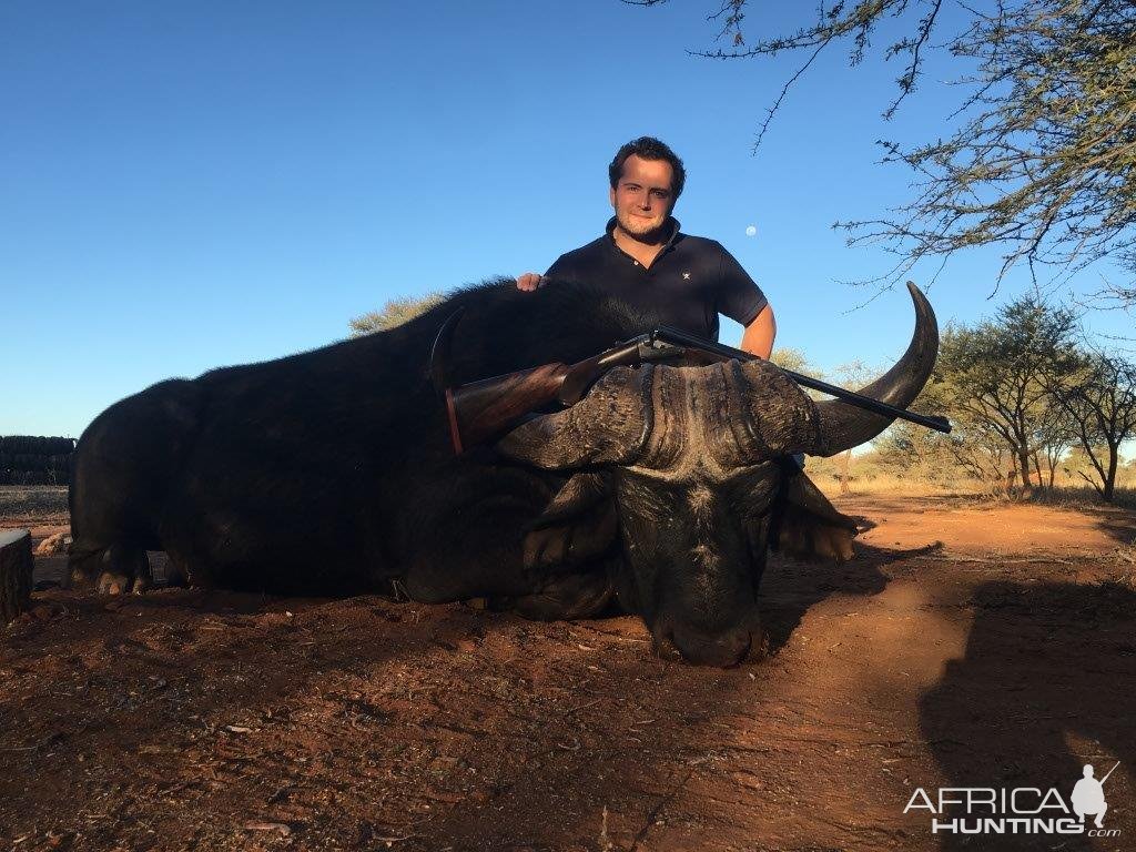 Cape Buffalo Hunt South Africa