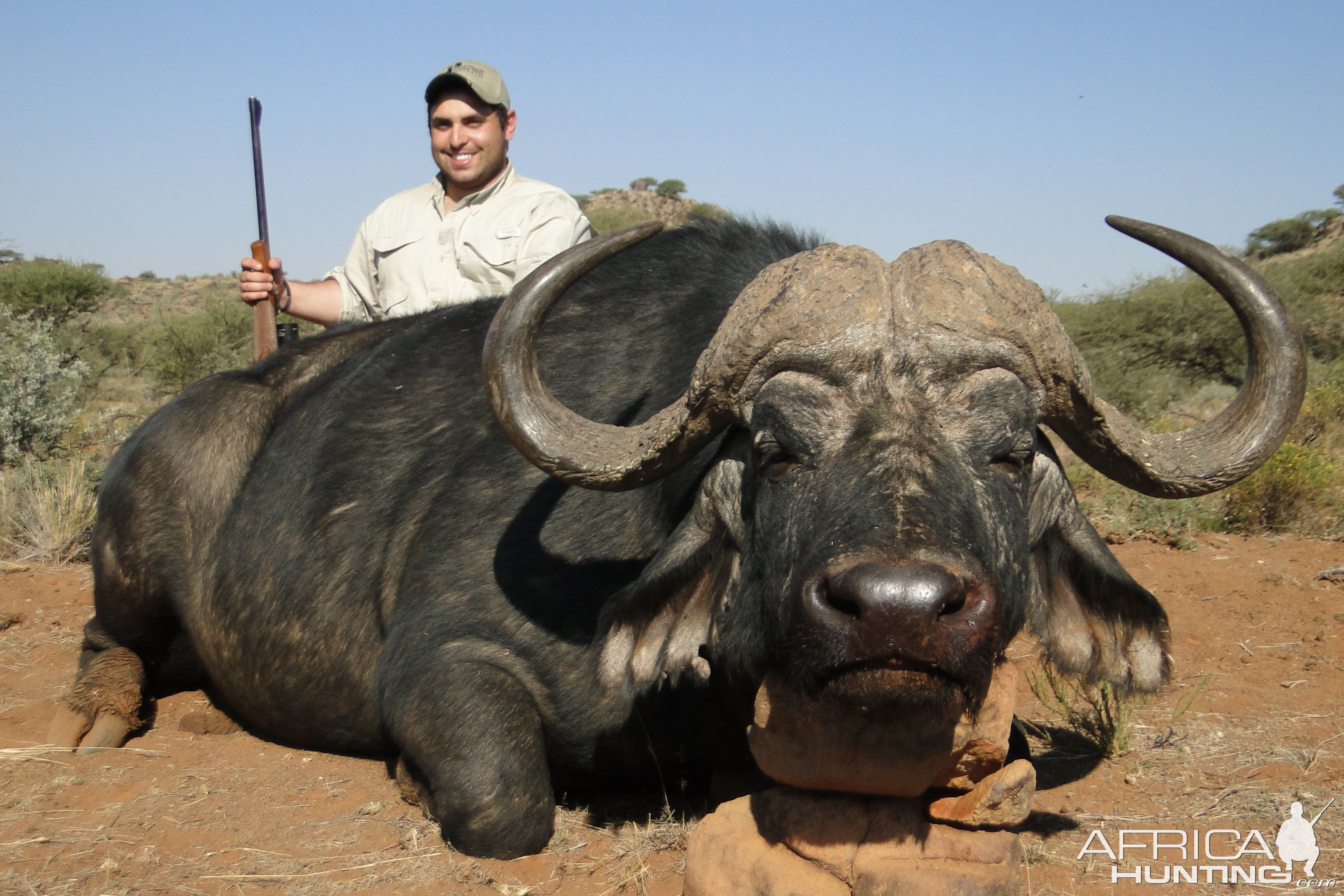 Cape Buffalo Hunt South Africa