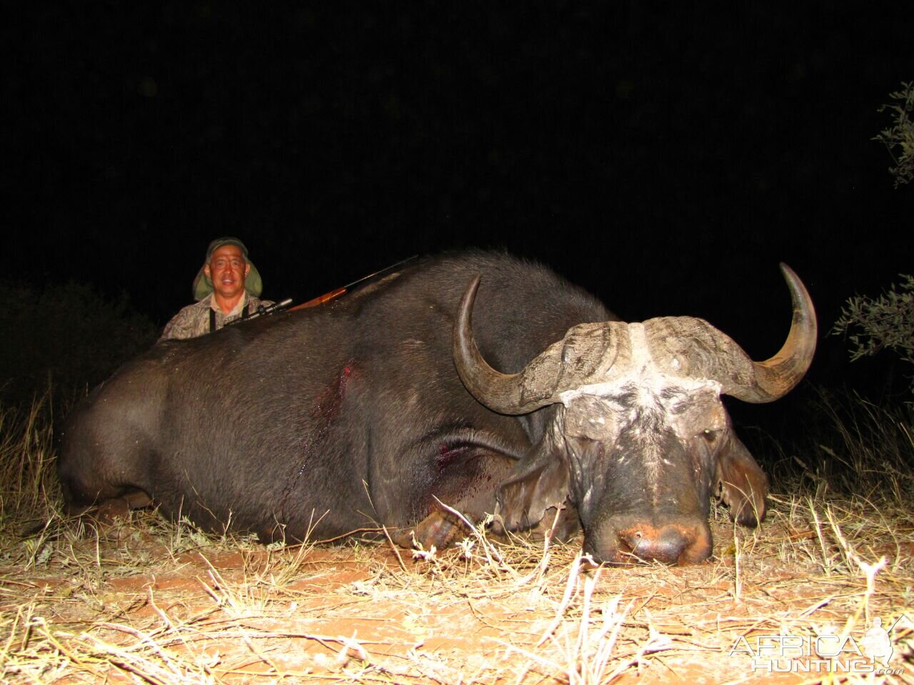 Cape Buffalo Hunt South Africa