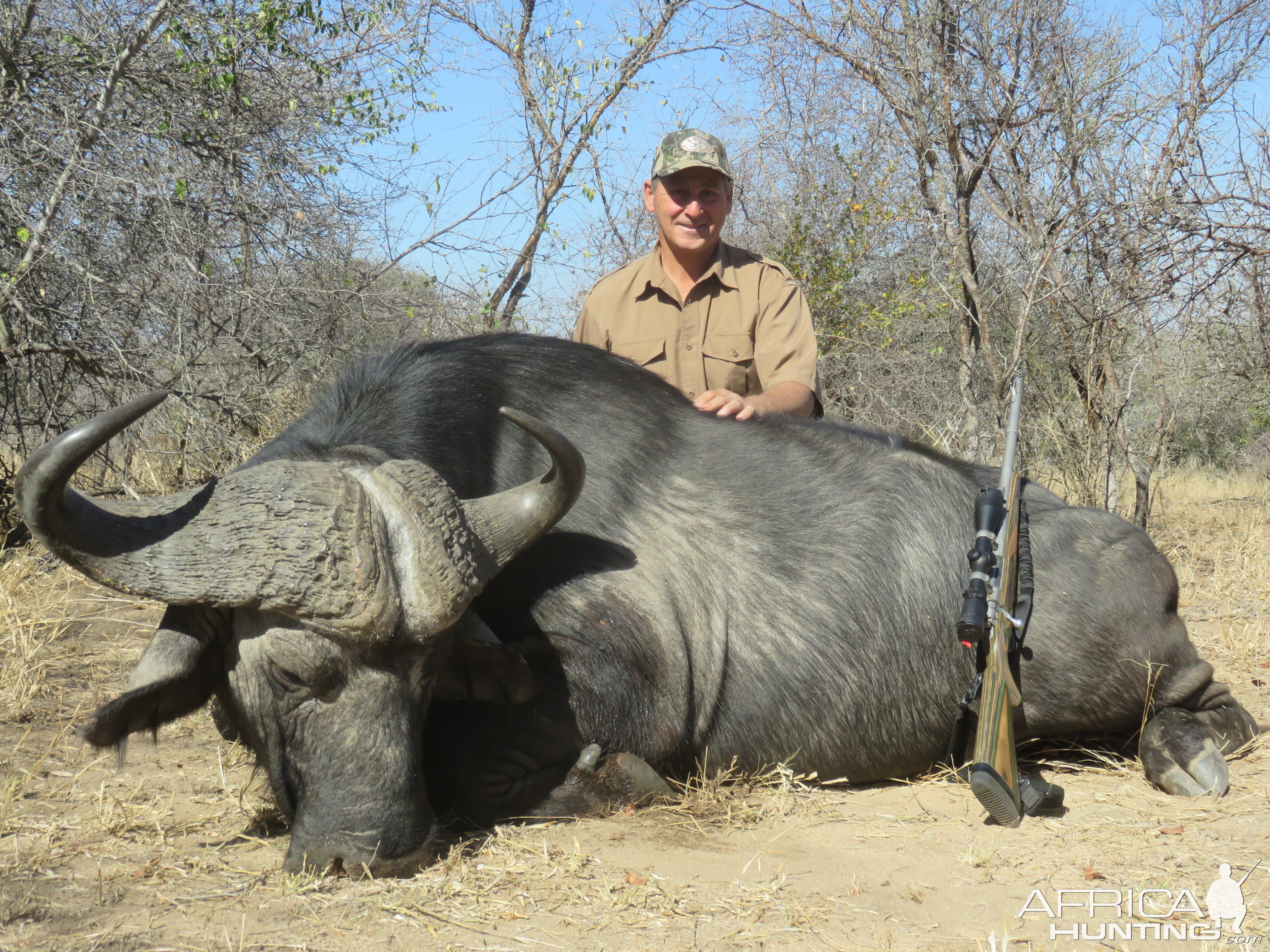 Cape Buffalo Hunt South Africa