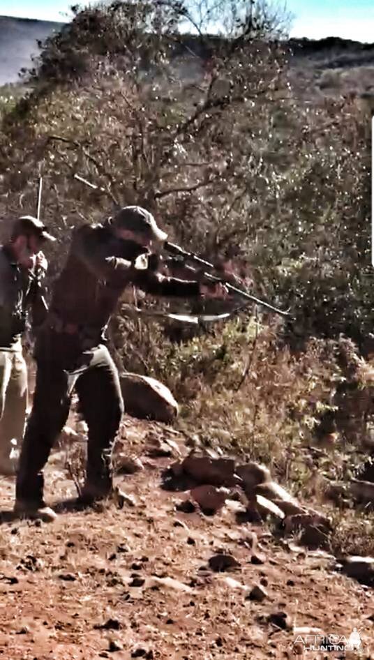 Cape Buffalo Hunt South Africa