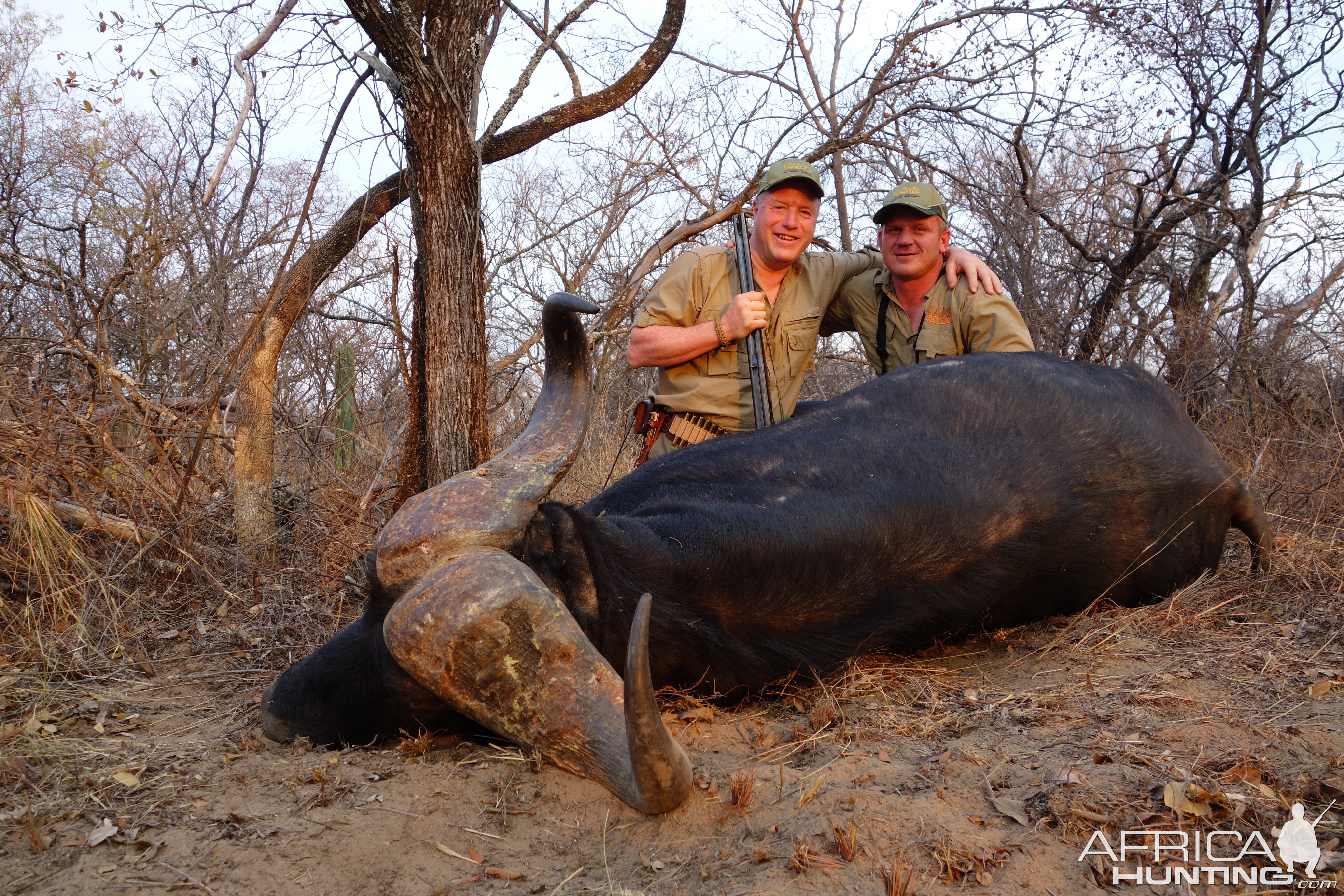 Cape Buffalo Hunt South Africa