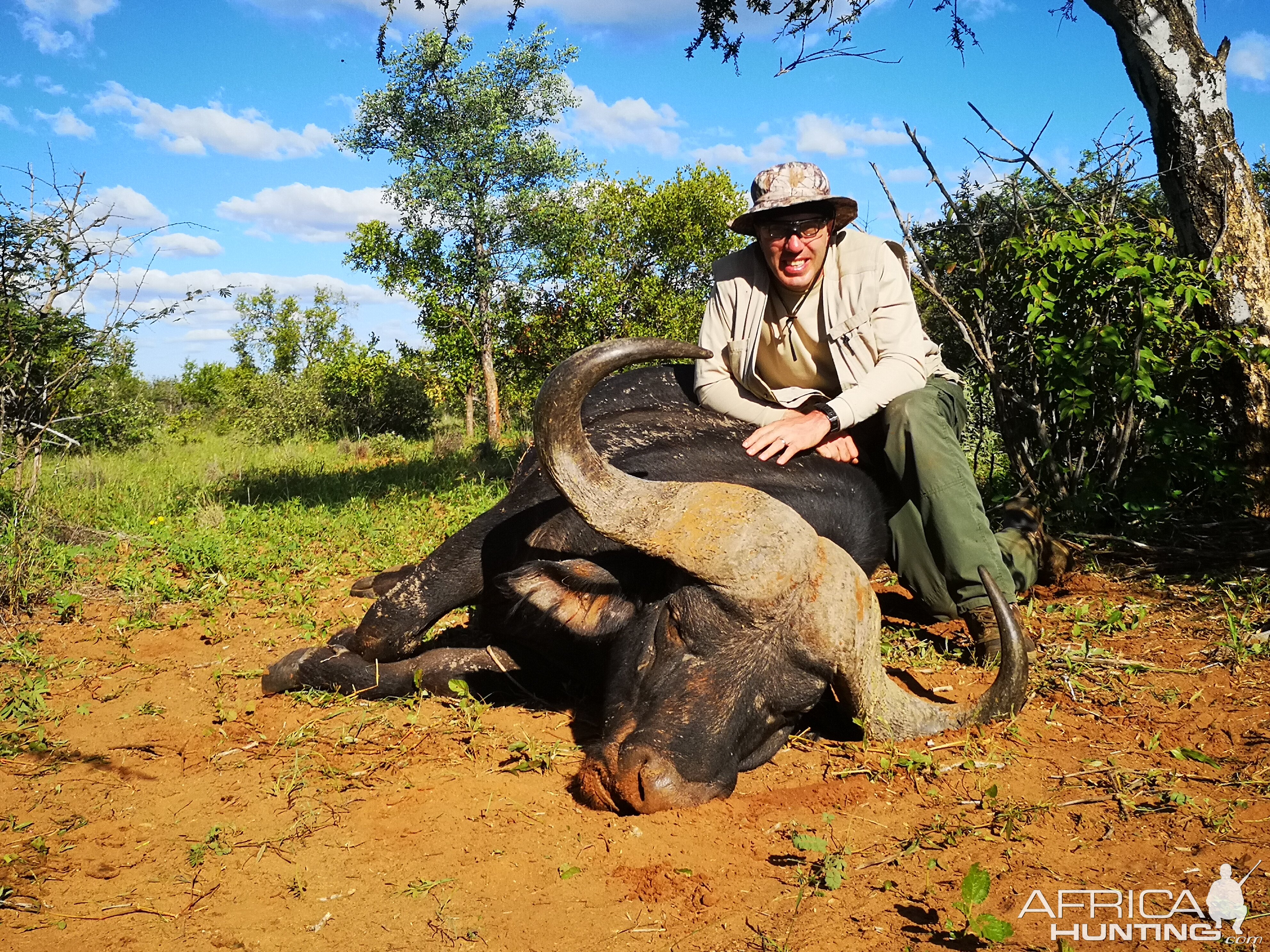 Cape Buffalo Hunt South Africa