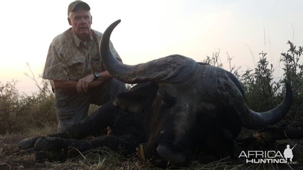 Cape Buffalo Hunt South Africa