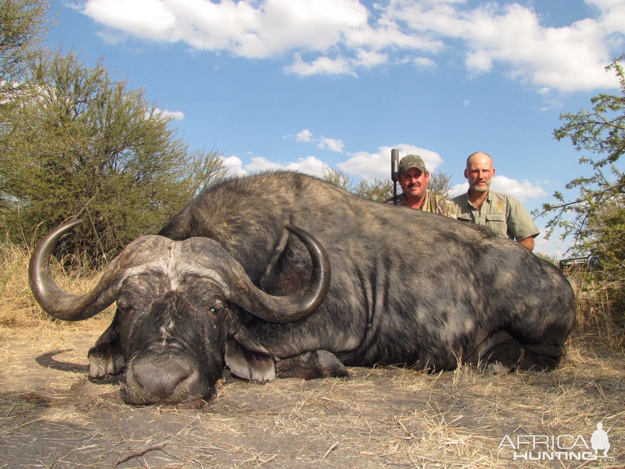 Cape Buffalo Hunt South Africa