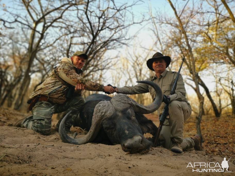 Cape Buffalo Hunt South Africa