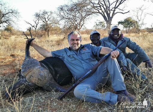 Cape Buffalo Hunt South Africa