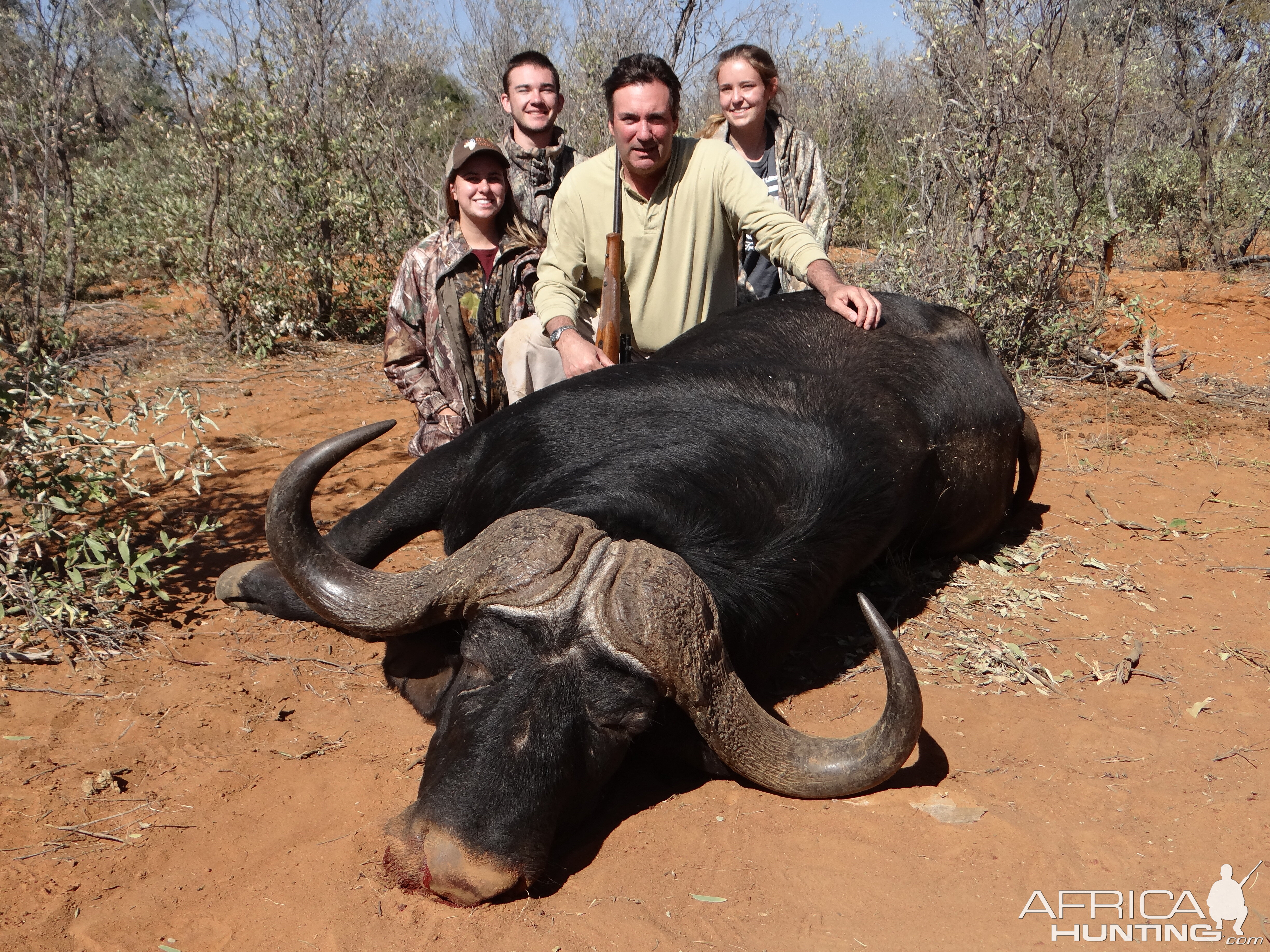 Cape Buffalo Hunt South Africa