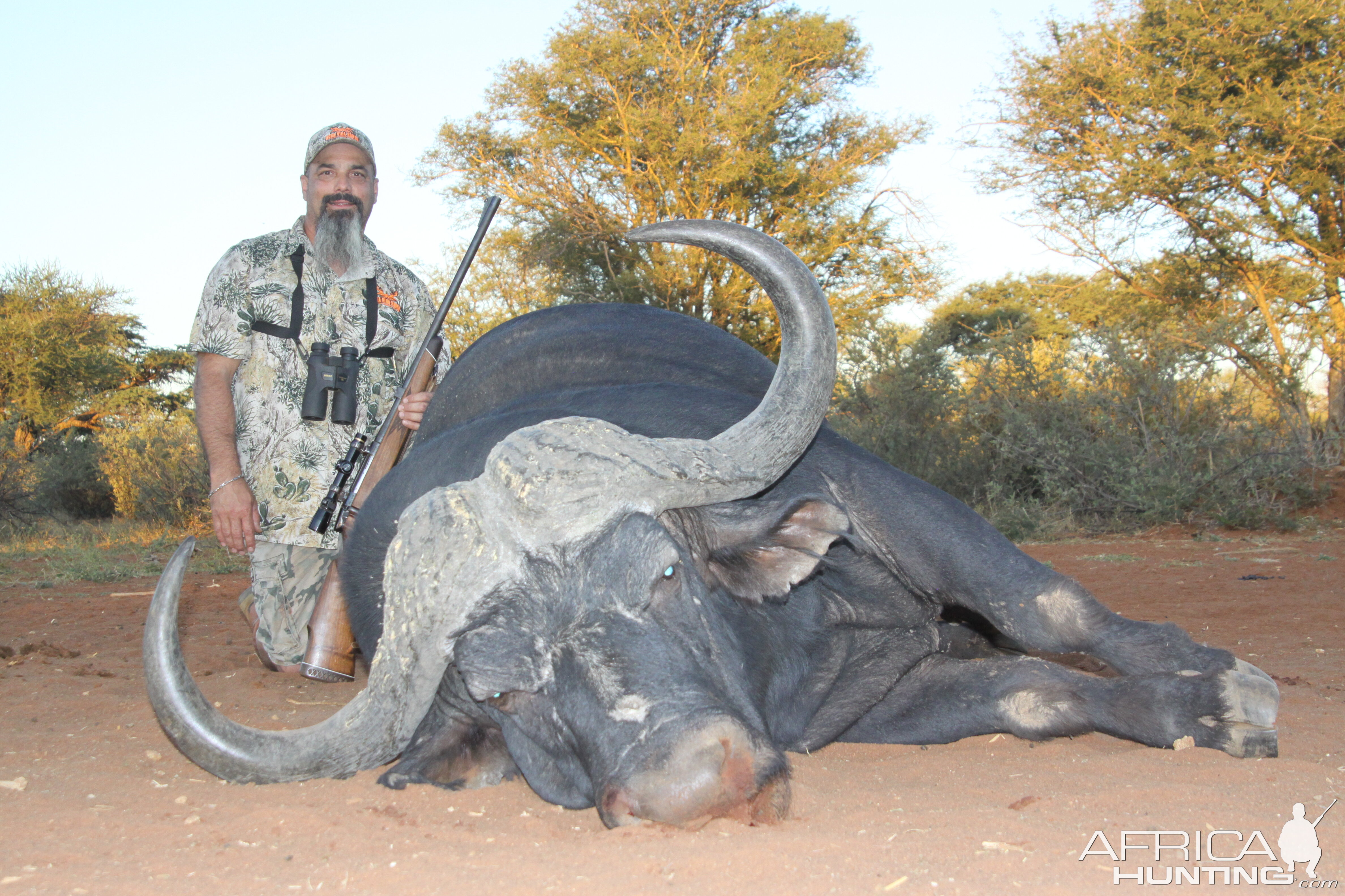 Cape Buffalo Hunt South Africa