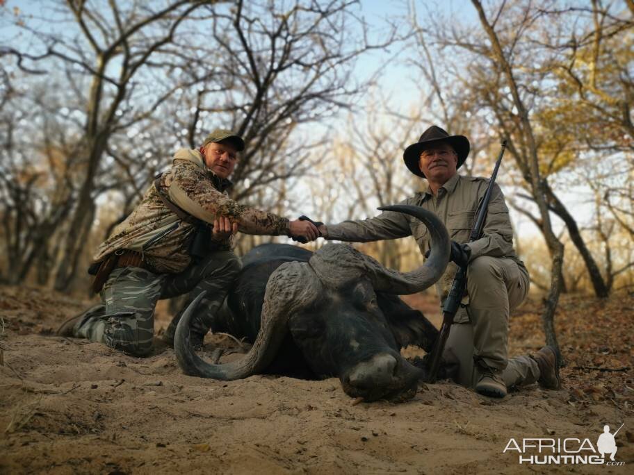 Cape Buffalo Hunt South Africa