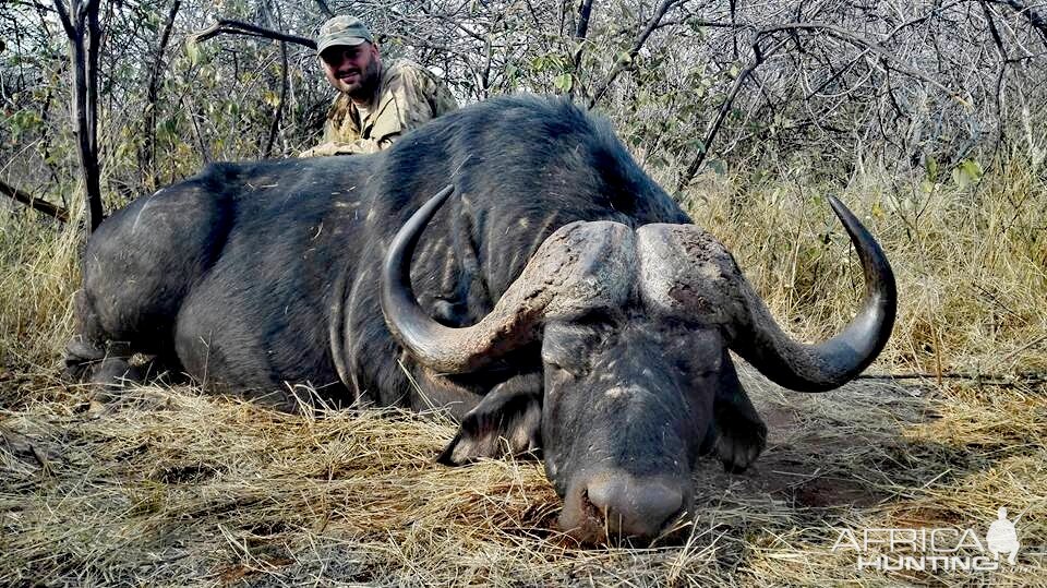 Cape Buffalo Hunt South Africa