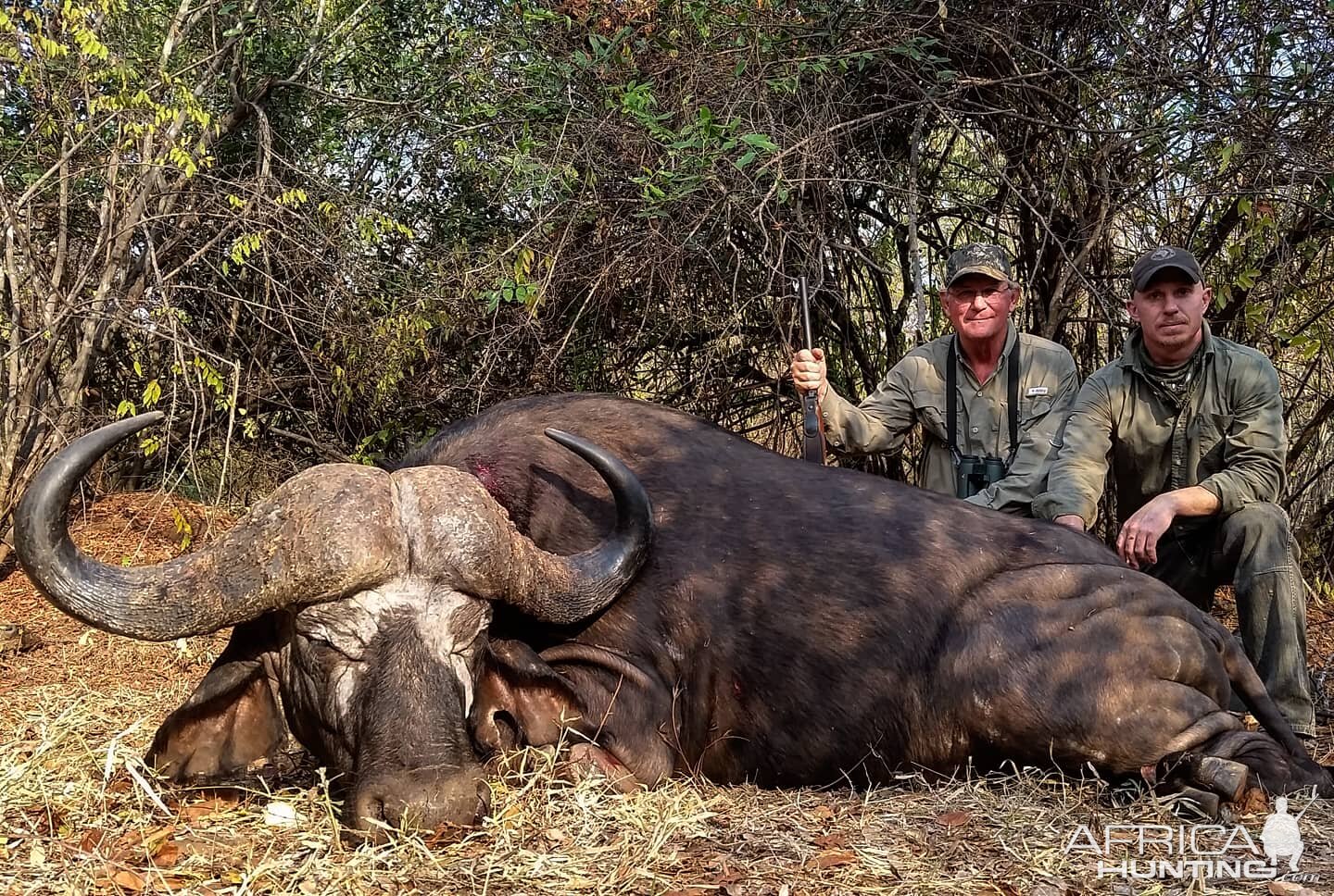 Cape Buffalo Hunt Tanzania