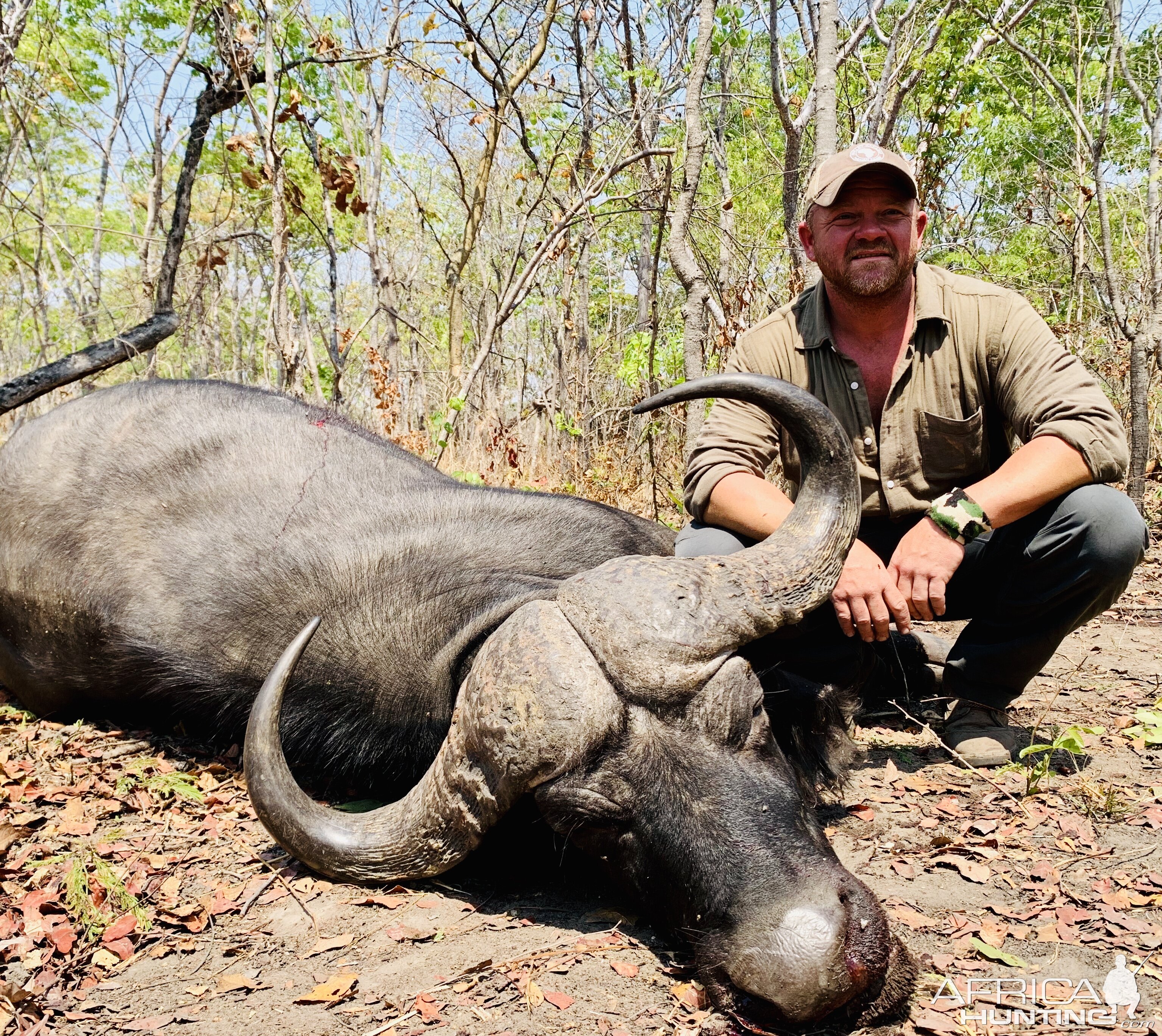 Cape Buffalo Hunt Tanzania