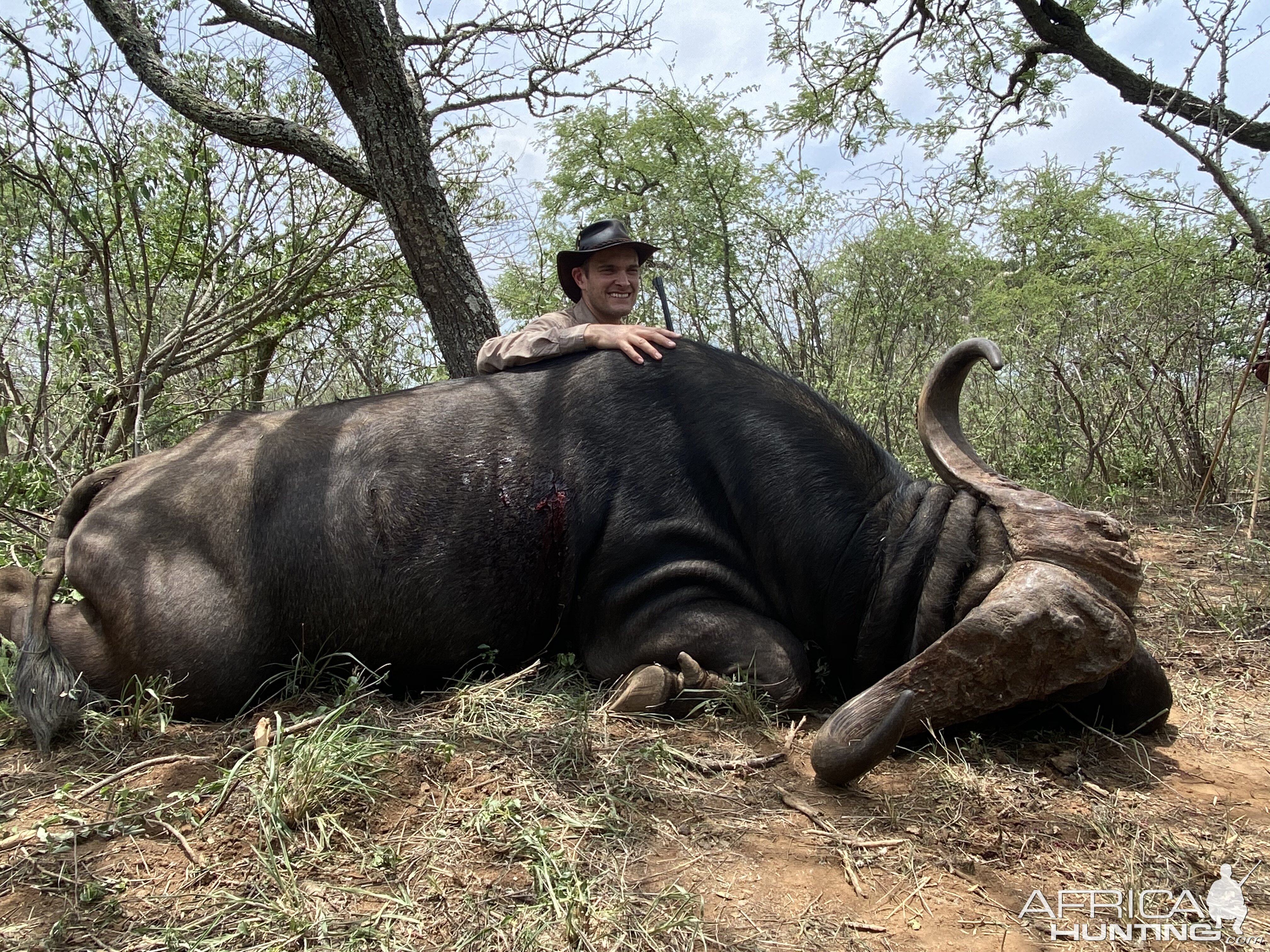 Cape Buffalo Hunt Tanzania